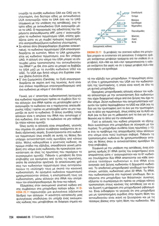 yvop((et ro ouvnen KodK6vto CM r<ot CAG yto 11
yl.outopr(vr1, 6vo 6erlrepo e(6og pre qwtro6tr6vto
UUA ovoyvtopi(et t6oo to UAA 6oo t<ot to UAG
(oripqrovo Ue rnv un60eoq tqq oord0etog), ev<ir to
rpfuo e(6og pe owrrodtt<6vro CUA ovoyv<op((et p6-
vo to UAG. O neptoptol.t6q qq et6r6rrltog rou no'
pdyowo oneleu06ptoorlg eRF, cborc v' ovoyvop((et
pr6vo to ro6x6vto teppotropo0 UGA, en(oqq Xpet-
6(eror c0ore vo Un ouUPe( np6topog repprottopr6q
oro veonpoo6topt(6prevo KtoSK6vtq yLourog(vr1g,
o Ie rdnoto dIIo BLeqopr6og6po (Euplotes octacari-
natus), to t<todu<6vto tepprottol-toti UGA enovonpoo-
drop[(etot oe ruorefvq. M6vo ro UAA lprlotgonot-
e[tot tog xo6tr6vto tepporropoti, evdl 6ev undpXet
UAG. H oIIoVn oro v6rlpro tou UGA prnope[ vo ont-
reuX0e( pSoto tponono(r1oqg tou owtt<to6tt<ov(ou
rou tRNAcv' pe 134, 6rot coare vo gnope( vo 6toBd(et
ro UGA pro(( ge to ouvriOq rro6tr6vto UGU t<ot
UGC. To UGA 6Xet 6ml'6 v6rlpro oro Euplotes cras-
sus (BL6ne Ev6trya 25.8).
o I'5vo (u;roprir<r1to (Candida), to CUG enovonpoo-
drop(etot oe oep(vq ow( qq Leuxffiq. Aur6 e(vot
6vo ondvto nop6Setypro enovonpoo6roptopori on6
5vo rodx6vto pe v6qPro o' 5vo d.tro.
l-evrxd, yro v' onorcnloet xcodtronorrlurrl Aenoupy(o
6vo t<to6tr6vto repportoUo0 np6net vo oupBotiv 60o r0-
nor otr),oycirv: 6vo IRNA np6net vo petoMol0e(cirore v'
ovoyvtop(et ro rrodtx6vto rot o nopdyowog onetreu06-
poonq rd[4q I np6ner vo ;reroMol0ef 6ore vo Urlv rep-
1.roil(et oe ow6 ro xu:6tr6vto. O dMog ouvriOlg t0nog
otrtroycirv e[vor 11 onciLeto tou IRNA nou owtorotXe( o'
6vo t<to6tx6vto, 6tot dlore to rodu<6vto vo Urlv r<oOop[-
(et nl,6ov xdnoto opwo(tl.
'Otreq ow5q ot oMoy6g e(vot onopo6u<5q, yeyov6q
nou o4go(vet 6rt pr6Mov ouv5B4oov ove(dpqto oe et-
6u<6q e[e].rrcrtr5g oep6g. Iuyxewpdlvowot oro t<trl6u<6-
vro repportotrtoU (orog enerdri oe our6g ttg 06oetg 6ev
undpXet owtxotdmoorl ev6g oprtvo(dog on6 xdnoto
dLlo. M6).tg xo0teprirOrlre o yevettr6g r66trog, oe
npcilq-ro ord6ro rrlg e[6].t(qg, onotod{note yevtrrl peto-
Bo).4 oro v6qtrro ev6g rodtrov(ou 0o nporol'o[oe owt-
rordmoo4 oe 6leg ttg npore(veg nou neptSxouv ro
ouyxexptgSvo o;rwo(0. l-lt0ov6v 4 petoBoLq 0o rpov
enrBloBrlg yto optop5veg on6 out5g ttg npotelveg,
on6te 0o eniley6tov opvrlnrd. Ot onor.tr'(vouoeq Xpn-
oerq rov rodtxov(tov teppottopo0 (oog owtnpooto-
ne0ouv rn "oUIInqJn" touq pe oron6 t4v rovovtrrl
rrodtxonoirloq. Av optopr6vo xto6tr6vto teppottopo0
Xpnotponototiwov ondvto, 11 entorpdteuo{ toug yto
xio6rronofqor1, g6oto o]'Loycirv sro IRNA nou enttp6-
nouv rov enovonpoo6toptop6, 0o ntov nro nt0ovt1.
E[otp6oetg orov otKoupevtr6 yevettr6 rtil6tro en(-
oqq ouprBoivouv oro prttoX6v6pto noMrirv et6riv. H El-
K0NA 25.11 nopouotd(er prto cputroydveto (e[e].trtrr<6
66vdpo) tcov oMoydrv. H txov6tqro KorooKeunq ptoq
guLoydvetog unodqtrcivet 6tt unrlp(e 6vog ott<ougevt-
169 xri6xog nou pretoBtrrl0rlre oe 6td<popo orlpe(o r<o-
0txoupevudg rtiDtroq
EIK0NA 25.1"1 0r Ueropotr6q rou yeveuo0 xtit0txo oro ptrol6v-
Dpro pnopouv vo ewontototjv oq rputroy6veto. 0 etrdxtmoq opt$
U6q ove[oprntov petopo)rtirv npo5pXerot onri qv undOeorl 6n u
Ueropol6q AUA=Met roL AAA=Asn npoyporonototjvrot 1 roOe-
pio ove[opqto 6uo Qop6q rot 6tt 11 npdrtpq geropo)rn AUA=Met
owtorpdqrlxe mo eXwddePPo.
rd qv e(6LrEn tov l.tttoXov6p(trlv. H npotp6teprl oMe
V{ ntov n Xpnoqoflohon tou UGA yto u1v rcodmonoi-
non rnq rpumorpdv4g, 4 ono(o e(vot t<ow{ oe 6tro ro
pr4 <punxd groX6vdpto.
Optopr6veg prroXov6ptordg oMoydg rdvouv tov ni6t-
Ko qnlo0orepo pe rrlv owxotdoroorl 60o rurl6xov[trw
nou e(Xov dtorpoperr6 v6rlpro on6 6vo (e0yog nou dletro
(6ro v51pro. Ze0yr1 ro6xov(tov nou owqretoln(oqrov rqd
ow6v rov tp6no nepr.ogBdvouv to UGG rq UGA (rot ro
d6o yto rnv rpunroqdv4 ow( to 5vo yto rqv tpumog6vrl
ror ro dMo yto repUortoU5), 6no4 entonq rot to AUG xa
AUA (r<or to 60o yto rr1 geOetovwn ow[ to 5vo Yto rn UE-
Oerovfvq rot to dtrtro Ytq rnv toolsur(vq).
l-rot( ot oMoy6g tou t<ti6u<q prnopo0oe vo e(etu1-
0otlv eur<ol.6tepo oro prmoX6vdpto oe o0yr<ptor1 Pe rov
nuprlvo; To prrol6vdpto ouv06ta l,iyeq npoltetves (-10)
xt 6tot to np6BLqtrro rqg onopp00prtoqg ).6yto otrLoytilv
mo v6qpo e(vot notr0 l'ry6tepo ooBop6. [lt0ov6v ro
rpononoqpr5vo xto6u<6vto 6e lp4otponoqOrlrov eme-
vri:g oe 06oetq 6nou ot owtxo-roordoetg oprwo(6rov 0o
rpov entBtroBe(q.
Etigrprovo Ue rnv un60eo4 qg oordOetoq, 6voq eA6-
Xrorog opt0trr6g 31 IRNA (erc6g tou evoprcr{ptou) eivo
onopo(rqrog dlore v' ovoYvoJptqro[v rot to 61 r<ro6xo-
vro (touldlto,ov dUo IRNA onqroUwot yto rd0e oro-
y6veto teoodptlv rodtrov(rov xt 5vo IRNA e(vot
ovoyt<o(o ovd (erjyog rcodrov(ou r1 [e1optor6 ro6rG
vro). To onodonx6 truolovdptor6 yovtd(trlpro t<ov Oqtro-
ottxtirv, toor6oo, rtodxonote( trrcvo 22 IRNA. To IRNA,
nou ro6txonotoUwqt oro nuprlvK6 yovt6(olpto, 6ev et-
odyowot mo puoX6v6pto rov 0rlLoortr<rilv: ouvenc0g,
efdyetot to oupndpoopro 6tt npSnet vo undpla rdnotq
rponono(qor1 oroug t<ov6veq rnq oordOetoq yto vo ei-
vot 6uvorlq pretd<ppooq oro gttoXovdptor6 p$ootopr6-
tto. E(vot ev6totpSpov to yeyov6g 6tt oro prroX6vdpto
Uro pn tpononot4pt6vrl oupr6(v4 or4v npriltrl 06sn tou
qwrxo6trov(ou e(vqt trov{ vo (euyopdrvet Kot Ue rtq
r6ooeptg Bdoetg orqv tpfur1 06oq tou t<to6xov[ou. Mto
Inov0utroro
'EwoUo
Motrorro
EXrvddepgo
Nrlgortil6erg
11troru6trptv0eg
Murrlteg
ZUUeq
0uro
AUA
724 KE0A Al0 25 0 levettxdq K66Lr0g
 