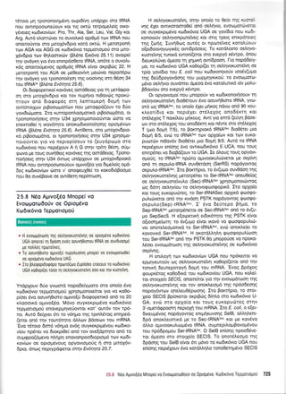 rdroro Url rpononotnpdvn oupt6[vr1 undpXet oro IRNA
nou qwmpooonefouv Kot rtq orcril tetpol.teLe(g oxo-
ySvereg ro6trov[tov: Pro, Thr, Ala, Ser, Leu, Val, Gly t<ot
Arg. Aur6 elorrcbva ro ouvohr6 opt0pt6 ttov IRNA nou
onomotwot oro pmoX6vdpto t<otd ormdr. H petorponq
t<lv AGA rot AGG oe rol6x6vto tepgortoporj oro ptro-
l6vdpro tov 0r1troonr<drv (B).6ne Ex6vo 25.11) ovorpe(
rqv ovdyrq yro 5vo entnp6o0ero IRNA, on6te o ouvolt-
169 onomoUprevoq opr0pr6g IRNA e(vot orptBri:q 22. H
gerotponrl tou AUA oe preOetovfuq getrivet nepom6p<o
rrlv ovdyxq yto rponono(noq rnq rvoo(vr1g orq 05oq 34
rou tRNAIr" (BL5ne Ev6r4ta 25.6).
Or 6rogopertro( rov6veg oordOetog yro 14 petdrppo-
on oro ptroX6v6pto Kot rov nup(vo nr0ovdrg nporU-
nrouv on6 6rogop5q orrl Lentopreprl doprrl to:v
ow(morlrov prBoorrlpor(cov nou Uerogpd(ouv to 60o
yovtduill.roro. Ito xurroponLool.totrd p$ootoprdno, ot
rpononor{oerq orrlv U34 Xprlorpronototiwot rirore vo
eneKro0e( q trov6rrlto onor<o6trono(qoqg optop5vtr:v
IRNA (BI5ne Ev6trpa 25.6). Aw(Oero, oro 1.ttto1ov6pto-
r<d prBooro;rdrro, ot rpononoqoetg orqv U34 Xpnoqo-
nororivror yro vo neptop(oouv to (euYdpopo oro
xco6u<6vro nou neptdXouv A ( G orqv tp(tr1 05oq, o0pt-
govo pe toug ouvqOetg rov6veg qg oord0etog. Tpono-
nouloerg orrlv U34 6wcog undpXouv oe Uroxovdptord
IRNA nou owrnpooonefouv oprwo[5o yto 6rpre].e[g oprd-
6eg rco6u<ov(cov rilore v' onogeuX0e( to rorodtdBoopto
nou 0o ouv6Bowe oe ow(Oerr1nep(mcoor1.
25.8 Ndo Aurvot6o Mnopel vo
Evotoyorul0oriv oe Opropdvo
Kol6rr6vro Tepprorroporj
+ H evotouorool rrlg oetrrlvoruotefvr1q oe optop6vo roldtrovto
UGA onoue[ rn 6poon evog oouvrl0torou IRNA oe ouvduool.to
pe notrtreq nporetveg.
" To oouvrl0roro oprvo[0 nupotruolv1 pnopel vo evootportl0el
oe opropdvo ro:dtrovto UAG.
* Ito gtreQoptdotpopo npo:ro(oo Euplotes crassus ro rtrl6tr6vto
UGA ro0opi(et tooo q oetrqvoruorelvl 6oo rot qv ruorelv1.
Yndplouv 60o yvocrrd nopo6erypoto oro ono(o 6vo
r<ordrr6vto teptrrotrol-toU Xpnotponolefuot yto vo xoOo-
ploer dvo oouvrlOtoro oprtvolri 6togopertr6 on6 ro 20
xlooorxd optvo[6o. M6vo ouyxer<ptptdvo t<tl6tr6vto
reptrrorrotrroU enovepUnveUowot ror' out6v tov tp6-
no. Aw6 6e(yyer 6l ro v6r1;io rrlg rprnL5tog enqped-
(eror on6 qv tout6rqro dMtrlv Bdoecov rou mRNA.
'Evo r6roro 6116 v6r1po ev6g ouyrerpt;t5vou xtodtro-
v(ou np6ner vo 6Lor<pr0e( on6 tov ove(dptqro on6 ro
ou pup po(6 ptevo nlrl pr1 enovonpoo6toptopt6 tr.ov t<tl6t-
rov(ov oe optop6vouq opyovtogoUg 11 oro pttox6v-
6pto, 6nog neprypdqetot orrlv Evdr4ru 25.7.
H oelrlvoruoteivrl, orqv ono[o to Oe[o rqg Kustd-
vqg 61er owrKorooro0e( on6 oetrrivto, evoo4rcnthrcrot
oe ouyKeKptg6vo xtodu<6vtq UGA oe yovi6to nou xto6t-
ronororiv oeLrlvonpcoretveg rot ortq rpetq enxpdreeg
rnq (oflq. Iuvr'10oq out6g ot npo:retveq rorohtlouv
ofer6oovoytr:yx5q owtdpdoetg. To t<otd.tr otno oetrrlvo-
ruoretvqg runtrd ewon((etot mo evepy6 r6wpo, 6nou
Sreurotrfvet dgeoo rn )nUtKIi ow(6poor1. l-ro nopd6ety-
1.ro, ro xtr:6tr6vto UGA r<ooop((et tq oetrqvoruoretvq oe
rp(o yov(6to rou E. coli nou rco6tronotoUv toodv(upto
qg deu6poyovdoqg rou UUpUnYrtroU: to evooporo-
pr6vo oe).r1vro ouvdmet dpreoo 6vo rorol.uttr<6 r6v ptol'u-
B6ow(ou mo evepy6 rdwpo.
Ot opyovtopro( nou prnoporiv vo xco6tronotrjoouv rrl
oelrlvoruore"wq 6to05rouv 5vo oouvrlOtoro IRNA, yvco-
o16 og IRNAS"", to ono(o 6Xet prlxog n6vo on6 90 vou-
rl.eor(6ro rot nept6Xet ot5LeXog ono66rtq rot
or6treXog T noxfi.ou pqroug. Aw( yto emd (eUyr1 Bdoe-
ov oro or6treXog tou qnodSKrq rot n5we oro or6e1oq
T (pto 6opd 7/5), to Bor,crlptoK6 tRNASu" 6to06tet pto
6oprl 8/5, evc0 ro tRNASec ttov oplo(tov Kot rov euKo-
pucorrilv nr0ov6v 6ro05tu prto 6ogrl 9/5. Autd to IRNA
neprdXouv en[o4g 5vo owtro6tt<6vto S'-UCA, nou rouq
entrp6na vo StoBd(ouv to UGA, Ie 6Loug rouq opYovt-
opro0q, ro tRNASec npdrto ol.twoorutrtc0verot Ue oepfu4
on6 rq oepul,otRNA ouvOetdorl (SerRS) nopdyowog
oepuLotRNAsec. ftq Borctripto, ro 6v(upro ouvOdoq qg
oel4voruorefv4q pretotp6net to Ser-tRNAS"" oneuOe(og
oe oetrrlvor<uoreivulo (Sec)tRNAS"c Xpnotponotc0wog
o:g 66q oe).4v(ou to oetrqvogtootpopx6. Ito opXo(o
Kor rouq europucilreg, to Ser-tRNASec op1x6 Qoogo-
puLuliveror on6 rrlv rtvdorl PSTK nopdyowqq Qooqo-
oepul.o(Sep)-tRNAsu". I' 6vo 6eritepo Bqtrlo, ro
Sep-tRN4s"" perorp6neror oe Sec{RNAsec on6 ro 6v(u-
po SepSecS. H e(otpenrr'1 et6u<6qto qg PSTK efuot
o[roo4;re(rorq: to 6v(upro e(vot xov6 vo <poorpopufuril-
ver onoretreopottrd to Ser-tRNAsec, evd) onoxle(et to
rovovtr6 Ser-tRNAS"'. H orot6Ltrr1l4 qroo<popuL(rooq
rou Ser-tRNAser on6 qv PSTK 0o prnopotjoe vo npoKo-
Moer evool.rdrroorl qg oeLqvoruorelv4g oe rco6u<5vto
oepivnq.
H enil.oyri rov rrodu<ov(tov UGA nou np6remot vo
epprlvewoUv org oetrrlvoruore(vn roOop((etot on6 qv
tonrr4 6eureporoyrl 6oprr] tou mRNA. 'Evog Bp6Xoq
goupr<6tog r<o0o6u<d tou rodtxov(ou UGA, nou xole(-
rot motye[o SEC/S, onomefuot vto rrlv evoropdtrrlorl t4g
oeLrlvor<uoreiVrlq Kqt rov onorLetop6 qg np6o6eorlg
nopoy6wcov onetreu06pooqg. Eto Borcr{pto, ro fiol.-
1e(o SECIS Bp(oretot oxptBcirg 6(nlo oro rto6tr6vto U-
GA, evrir oro oplo[o Kot rouq europucilteq orrlv
3'-oper6gpqorq neproXri tou mRNA. Iro E coli, o e[et-
6rreupr6vog nopdyowog enttrrrptuvorlq SelB, oMrltrent-
6pd onortrermrxd pe ro SectRNASec 6q1 pe rov6vo
dLl.o o1-uvoorutrtco gdvo IRNA, ou pneprl.oprBovo;t5vou
rou np66po;rou Ser-tRNAS"'. O SelB enloqq npoo66ve-
rot dpeoo mo ototle(o SECIS. To onot6leoUo rnq
dpdonq rou SelB e(vot 6tt pr6vo to xto6tx6vto UGA nou
en(oqq nept6Xouv 6vo r<otdtrtr4l,o tonoOerqpdvo SECIS
25.8 N6o Aprvo[60 Mnope(vo Evoroltotto0otjv oe 0ptop6vo KodrrovroTeppolopou 725
Boorxeq eworeq
 