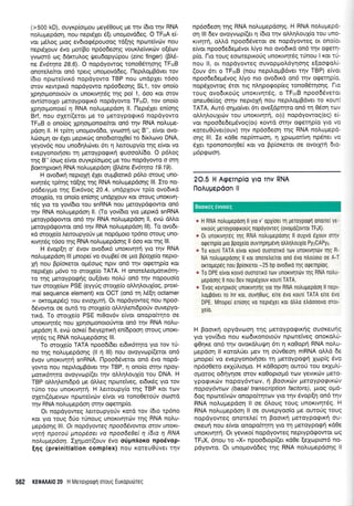 (>500 kD), ouyr<p(ot;tou pey60oug Ue rnv 6to qv RNA
noLuprepdoq, nou nepdlet 6(t unoprovd6eg. O TFurA ei
vor pr5Loq puoq ev6ro<p5pouooq td(49 npoteivrriv nou
nepr6louv 6vo prot[Bo np6o6eoqq voutd.eivxcbv o(dtov
yvoor6 olg 6drcru),oq rfeu6opy6pou (zinc finger) (FM-
ne Ev6trpa 28.6). O nopdyowog ronoO5tr1or1q TFrrrB
onoretre(ror on6 tpetg unoprovddeg. l-lepil,oprBdvet rov
[6ro nporeivrr6 nopdyowo TBP nou undplet t6oo
orov KewprK6 nopdyowo np6o6eo4g SL1, rov ono(o
Xcqoqonororiv or unorlqtdg rrlg pol 1, 5oo Kot orov
ow(mor1o preroypo<pm6 nop6yowo TFrrrD, tov ono(o
XprlorUonore( rl RNA noLu;repdo4 ll. lleptdlet en(or1g
Brf, nou olet((etot Ue ro Ueroyporprr6 nopdyovto
TFrrrB o ono(og Xprlouonoefuot on6 qv RNA notrupe-
pdo4 ll. H rp(tq unopovddo, yvomri oq 8", e[vot ovo-
Lc0oq.r1 ov 6Xer ;repu<dlq onodtorol0e( to 6(xLrovo DNA,
yeyov6g nou uno6rlltivet 6n q trsnoupy(o trlg efuot vo
evepyonor{oer rn Ueroyporpu<4 quooo}.(6o. O p6loq
rnq B" (oog e(vor ouyrp(otprog pe rou nopdyowo o orrl
Bor<rqpror<r1 RNA noLuprepdon (FLdne Ev6rryta 19.19).
H ovodrni neptofi 6Xet ouptBottx6 p6l,o orouq uno-
r<rvqr6g rpkrlg td[r1g qg RNA no],uprepdonq lll. Iro no-
pd6erypro rqg Eu<5vog 20.4, undplouv tp(o ovo6trd
ororle(o, ro ono(o enronq undpXouv Kot orouq unoKtvrl-
169 yro ro yov[6ro rou snRNA nou pretoypd<powot on6
rrlv RNA notruprepdoq ll. (l-o yov(6to yto pepxd snRNA
;reroyp6gowor on6 n1v RNA noLuprepdorl ll, evcir dMo
geroypdrpowor on6 rqv RNA no),uprepdoq lll). To ovoSt-
rd ororXe(o Leroupyo0v ;re nop6;toto rp6no orouq uno-
r<wqt5g t6oo rqg RNA nol"u;rep6onq ll 6oo ror qg |ll.
H Svop[q o' Svov ovo6tr6 unorrulti yto qv RNA
no),uprep6oq lll prnope( vo ouprBe( oe pto BpoXe(o Tlepto-
Xri nou Bp(oreror opr6otog nptv on6 rrlv orpeqp(o t<ot
nepr6Xer p6vo ro orotle(o TATA. H onotetreoporu<5rr1-
ro rrlq preroypogrlq ou(dver noLri on6 t4v nopouo(o
rtov motle(ov PSE (eyyUg ororXe(o oLL4l,ou{og, proxi-
mal sequence element) ror OCT (on6 q 1.6[q octamer
= o]fiouep6q) tou evrqxutrl. Or nopdyoweq nou npoo-
66vowor oe owd to orotXe(o oLtr4l.ent6po0v ouvepyo-
rrxd. To motle(o PSE nt0ov6v e(vot onopofurlto oe
unoxwqr5g nou XcrlotUonotoUwqt on6 rqv RNA noLu-
pepdon ll, evri oore( 6teyepnr{ en(6pooq orouq unoKt'
v4t6g ng RNA notruprep6o4g lll.
To ororle(o TATA npoo6(6et et6x6trlro yto tov tU-
no rrlq noLuprepdorlq (ll n lll) nou ovoYvop(etot on6
6vov unorrvrlq snRNA. [lpoo66vetor on6 6vo nopd-
yowo nou nepil.oprBdvet tlv TBP, q ono(o finv npoY-
potrx6rqro ovoyvtop(et tqv oMrltrouX(o tou DNA. H
TBP oMrll,enr6pd ge dMeg npotefveg, etdu<69 Yto rov
tUno tou unortvqt4. H Lettoupy(o t4g TBP Kot rov
oXetr(6prevov np<oretvc0v e(vot vo rono0etoUv ooqr6
qv RNA noluprepdoq or4v ocperqp(o.
Or nop6yoweg Lettoupyo6v rotd tov [6to rp6no
Kor yto rouq d6o t[noug unortvrltc0v qg RNA no].u-
pepdo4g lll. Ot napayoweq npoo66vowu orov uftoKt-
vr1t4 nporcA pnop6,oa va npoo6e0e[ 4 6n 4 RNA
no/r.u pepdo1. Ip1;ror((ouv 6vo oripnAoxo npo6vo p-
[qq (preinitiation complex) nou roteu0Uvet trlv
np6o6eorlrqg RNA noLuprepdorlq. H RNA noLuprepd-
oq lll 6ev ovoyv<op((et 1 (6ro qv oMrllouX(o rou uno-
rrvr1r1, oLld npoo66vetot oe nopdyoweg ot ono[ot
e(vor npoo6edepr5vot L(yo nro ovo6trd on6 r1v qqerrl-
p(o. Fro rouq eooJreptxotig unortvqr6g ninou I xot t0-
nou ll, or nopdyoweq ouvoppoL6yqoqg e[ootpo]t['
(ouv 6rt o TFuB (nou nepil.oprBdvet qv TBP) e(vot
npoo6e6epr5voq l,(yo nto ovodtrd on6 rqv oEeqp(o,
nop6Xowog 5rot ttg ntrrlpogop[eg tonoO5tr1or1q. l-to
roug ovodtr<otig unoxtvqt6g, o TFrrrB npoo66verot
oneuOe(og orrlv neptoXrl nou nepil.ollBdver to xowf
TATA. Aur6 oqpo(vet 6rt ove[dpqto on6 q 06o4 rov
oMqLouXuirv rou uTroKtvnrn, o(0 nopdyowog(eq) ei-
vot npoo6ede;r6voq(or) rowd m4v ogeqp(o Ytq vo
xoteu00ver(ouv) rrlv np6oSeoq qg RNA nol,u;rep6-
orlg lll. Ie rd0e nepfntooq, 4 Xptoprot(vq npdnet vo
51er rpononorq0e( Kot vo Bp(or<etot oe ovotXrrl 6to-
p6prpooq.
2O,5 H Agetnpio yro Tnv RNA
l-loAuUepdon ll
* H RNA notruuepdon ll yro v' opy(oer q Ueroyporpil onotrel ye-
vLroug peroypoqrroug nopoyovreg (ovogo(ovrot TFrrX).
o 0r unorrvnr6q rqg RNA notrugepoolq ll ouxvd 6xouv orlv
ogerrlpio pto ppoXe(o ouvrrlprlpdvl otrtrntroux(o PyzCAPys.
e To rourl TATA eivor rorvo ouorolr6 rov unoxtvlttiv qq R-
NA notrugepoolg ll rot onoretre[rot ono 6vo ntro0oto oe A-T
orropepeg nou ppiorerot -25 bp ovodtro rqg oqeqpioq.
" To DPE elvor rorvo ouoronro rorv unortvrlr6v qg RNA notru-
Uepoolq ll nou Dev nept6Xouv rouri TATA.
e 'EvoS revrptrog unortvlrrlg yto rrlv RNA notrupepoorl ll nepL'
tropBoveL ro lnr xot, ouvrlOoq, elre 6vo rourl TATA elre evo
DPE. Mnopei en[o1g vo nept6Xet rot otrtro etroooovo orot-
Xe(0.
H Boorr<r1 opydvcrloq rnq UeroYpogtr<r1g ouoreuqq
yro yov(6to nou ro6tt<onototjv npotelveg onoro].rj-
gOqr<e on6 qv ovor<dtrugr1 6tt q r<o0opr1 RNA no).u-
prepdor; ll rotq^.Uet Uev rl'l otiv0eorl mRNA oMd de
gnope( vo evepyonot4oet rrl UeroYpqrprl Xopiq 6vo
np6o0ero erXritopro. H rd0opoq owoU tou erluLl-
oporoq o6rlyr;oe orov ro0optop6 ttov yevtro:v peto-
ypoqrr<drv nopoy6vttr:v, 11 Baomav peraypaEmav
nopoyow@v (basal transcription factors), prtoq opo-
6o9 nptoreivov onopo(rrlrov yto qv Svop(r1 on6 tlv
RNA noupepdorl ll oe 6).ouq rouq unoKrvqt6q. H
RNA no).uprepdoq ll oe ouvepyoo(o pre ourorig touq
nopdyoweg onoretre( tI goorxn pretoypo<ptx( ou-
or<eur1 nou e(voL onopokrlq yto rrl pretoyporprl r<dOe
unorrv4rrl. OL yevtro( nopdyoweg neptypdgowot rrlg
TFrrX, 6nou ro *X, npoodtop((et r<dOe [e1optor6 no-
pdyowo. Or unopovddeg rqg RNA no).upepdorlg ll
562 KEOA Al0 20 H MetoYpoQn orouq Europutitteg
Boorxeg eworeg
 