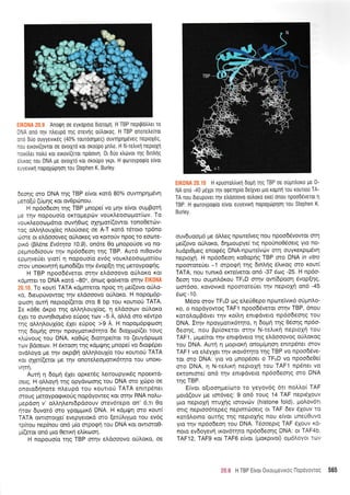 DNA ono rrlv ntreupo rrlg orevrlq o0troroq. H TBP onoretrelrot
rno duo ouyyevrreg (40% rouroonpeg) ouvqplp6veq neptoX6g,
rou errovl(ovrot oe ovotXro xot oroupo pntre. H N-tetrtrfl neptoxn
.cLrfier notru rot etxov((erot npootvl. 0t D0o xtrtitvot qq 6Lntrttq
:trLroq rou DNA Ue ovotXro rol orotrpo yrpt, H tptoroypotpto e[vot
auyevrrn nopoxiipnol rou Stephen K. Burley.
Seoqg oro DNA qq TBP e(vot r<otd 80% ouwqpqpr6vq
uero[ti (0pqq r<ot ovOptonou.
H np6o6eor1 qg TBP prnope[ vo pnv e(voL oui-rBorrl
.ls llv nopouo(o orropep<r-rv vout<Leooul1.tor[rrlv. To
'.,o u r<Leo ocr: 1-tdtto ouvrl 0 oq oXq por((owot rono Oerov-
:og oMr1trou1(eg nLotioteg oe A-T roro t5roto tp6no
oore or el,doooveg o0tror<eg vo t<oL-roUv npoq ro toore-
cLrd (Bl.6ne Evorqra 70.9), on6te 0o prnoporiot vq flo-
cepinod[oouv rrlv np6o6eon rnq TBP. Aut6 ntOovdv
epprlveUer yrot( 1 nopouo(o ev6g vouxeooulpor[ou
rrov uiloKtvlr( eprno6f(et qv 6vop(q trlg peroypogrlg.
H TBP npooddvetot o"rrlv etrdooovo q0Loro xot
<opmer ro DNA Kqro -80o, dnog go[verot ornv ':rr:'r "
. To t<out( TATA r<o;rmeror npoq 14 pre((ovo o0Ao-
<o, dreup[vowoq rr]v e].dooovo orj],ot<o. H nopopt6p-
orr.rorl outn neptopl(etot mo 8 bp rou xourtof TATA.
Ie r<dOe or<po rqq o),Lr1l.ou1(oq, 11 el"oootr.lv otjLor<o
exer ro ouvrl0Lopevo e[pog tttv -5 A, o].].o oTo Kewpo
rqq otrtrr1l.ou1iog 51et e0pog >9 A" H nopo;i6pgoroll
rqq 6opr1g orqv npoypo-rtr6tqto 6e dtoXotp((et rouq
x).rovoug rou DNA, r<oOtrtg 6totqpeirot to (euyoptol.to
rcov Bdoeorv. H drroorl rnq Kdpqrnq pnope( vo 6totp6pet
ovotroyo pe rrlv oxptBrl oMq).ouX(o tou r<ourLo6 TATA
<or olet((erot Ue rnv onoreleoUorLr6tqto rou unoKt-
VIT!.
Auq q 6opu1 61er opr<etdg LettoupyLx6g npoer-rd-
ceLq. H oMoyrl qg opyovoonq rou DNA crro Xurpo oe
onoto6r;note ntreupo rou routto0 TATA enttpdneL
orouq UeroypopLr<oig nopdyoweg Kot oqv RNA no}'u-
gepdorl v' o).Lr1tren16pdoouv orevdtepo on' 6,tt 0o
qrov 6uvor6 oro ypoUUtK6 DNA. H xopturl mo Nout(
TATA owrorotle( evepyetord oro [erJ].ty;ro tou ev6g
rpr-rou nepinou on6 pr(o ol'poel tou DNA KoL owLoroe-
p((eror ond pto 0ertr<r1 etr(xotor1.
H nopouo(o trlq TBP orrlv eldooovo orjlot<o, oe
,'.: ,,, " H rpuoro),trtrt1 6op1 rlg TBP oe oupntroro pe D-
NA ono -40 p6XpL qv orpeqpio be(Xvet pto ropnl rou rourtou TA-
TA nou 6reupuver rqv etroooovo ouLoro ere[ onou npoo6dverot 1
TBP H tporoypotpto elvot euyevtrl nopoXtirplol rou Stephen K.
Burley
ouvduoopr6 ;re dMeq npcotetveg nou npoo6dvowot orn
pe[(ovo oU].or<o, 6rlprLoupye[ tLg npounoO6oeLg yto no-
Lu oprO peg enorpdg D NA-npu-rreivc0v orrl ouyr<erpt;.rdvq
neptoXrl. H np6o6eoq r<oOopqg TBP oro DNA in vitro
npoorore0et -1 mpocpq trlg 6tnLrlg 6LLxog oro rour[
TATA, nou runtrd erre(vetot on6 -37 doq -25. H np6o-
6eo'r1 rou ouprntr6rou TFrrD orrlv ow(6poot'1 Svop(qg,
oror6oo, rovovrrd npooroteUet rqv neptoxrl ond -45
6o9 -10.
M5oo mov TFrrD tDS etrerj0epo np<ote'ivLx6 otipntro-
r<o, o nopdyowoq TAFI npooS6vetot mrlv TBP, 6nou
r<orotroprBdvet rrlv xo(trr1 entqdveto npdo6eorlq rou
DNA, Irrlv npoyportx6tnro, rl 6oprrl qg 06oqq npdo-
deorlq, nou Bp[or<erot orrlv N-te].Lr<r1 neptolrl tou
TAF1, ;irpre(tor
-rqv enLrpdveto rqq etrdooovog oij)'orog
rou DNA. Aurq q popLor<r1 onopr(prr1or1 enttpdnet orov
TAFl vo eL6yXeL trlv Lt<ovdrqro qg TBP vo npoo65ve-
ror oto DNA: yto vo pnopeosL o TFrrD vo npoo6e0ei
oro DNA, 11 N-te).tr<1 neprolrl rou TAFl npdnet vo
erronrme( on6 tqv entrpdveto np6odeorlq o-ro DNA
tnq TBP.
E[vor o[toolpre(otro to yeyov6g 6rr no].]'oi TAF
protd(ouv pe tor6veg: 9 on6 toug 14 TAF nept6louv
prLo neptoXn nruXrlg tmovrr.lv (histone fold), ;roLovdrL
mLg nepLoo6repeq neptTlrt.loetg oL TAF 6ev 61ouv ro
rorol,otno outrlq tqg nepLoXqq nou e(vot uneU0uvo
yro rrlv npdodeorl rou DNA. T6ooeptg TAF 61ouv xo
noro ev6oyevrl Lxov6tqto np6o6eoqg DNA: ot TAF4b
TAF12, TAFg r<ot TAF6 eivot (pror<ptvo[) o;-r6].oyor to'''
20.6 H TBP E(vor 0xougevx6g llopoyowog 565
 