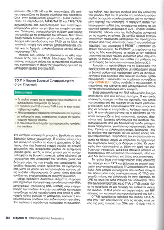 rorovcbv H2A, H2B, H3 r<or H4, owrmo(1<og. (Or ro16-
veg gXrlpor[(ouv ro Boou<6 oUpntroro nou npoo66ver
DNA mrlv euKopuonKti lprrlpot(vq, BL6ne Ev6tqta
70.3). To etepodr;reprl TAF4b/TAF12 r<or TAFg/TAF6
oXqpor((owor on6 ol.l,qLen(dpooll rtov ow(morlrov
unopovd6ov gSoo rcrlv pror(Balv rcov nruXri:v rov roro-
v6r.lu).o.yrxo, ouvoppooloitv q Bool prog boprlg
nou ;rord(er Ue ro oKrogep5g rov rorovcbv. Mtq rdroro
6op{ nr0ov6v eu06veror yro Un er6rrdg yro qv o},}.r1-
LouX(o oLlrlLenLdpdoetg rou TF1lD pe ro DNA. Or
rmovx6g muldq rov rorovcbv Xpnorponoro[wqt en(-
orlq Kor oe drpepe(g o).LqLenr6pdoerg prero(ri dl,),rrrv
nopoy6wcov TAF11.
Mepxo( TAFrr Filope( vo Bp(or<owor oe dLlo ori1.r-
nloxo ercrdg on6 to TAFrrD. Er6u<6repo, TAFrr "rUnou
ror6vrlg undplouv en(or1g ror oe npcoreiVu<d oUprnLor<o
TIou rpononororiv rq 6op{ rrlg popor(vqg npw on6 11
peroypogq (B).5ne Ev6tqto 28.9).
2O.7 H Boorri Euoreufi luvoppoAoy€iTot
OTOV YnoKIVnTfi
* To ovodlro ororXelo xor or nopoyovTeq rrou npoodrlvovror oe
ouro ou{ovouv q ouXvorrlro qg 6vop[r1g.
+ H npoodeol rou TFrrD oro rour( TATA 11 oro lnr elvor ro np6-
ro pqpo qq 6vop[qg.
* AtrtroL peroypoqrroI nopoyovreg npoodevovrot oro oupntroro
pe ro0opro;levq oerpo, enerre(vovrog ro prirog qq npooTo-
reupdvlg neproXlg oro DNA.
e H RNA notrupepoorl ll opX((er rr; peroyporprl ;rotrrg npoode0ei
oro ougn),oro.
Iro r<Urropo, unorrvrlr6g prnope( vo Bpe0oUv oe rperq
BooLr<oUg rUnoug Xpropror(vr1g. O npoirog rUnog e(vor
6vo ovevepy6 yov(6Lo oe x,trerorr1 Xpco;ror(vr1. O 6eU-
repog e(vor 6vo 6uvrltr<d evepy6 yov(6ro oe ovotXrq
lprr;por(vq, nou ovogdperot yov(dro oe eypqyoporl
(poised gene). Aw6g o rUnog prnope( Uev vo ouvop-
pro).oyqoer 14 Boo'u<r1 ouoxeurl, o).).d o6uvote( vo
npoXrop4oer crrrl Ueroypogrl rou yovr6(ou Xiop(g 6vo
6eUrepo orlpro yro tqv Svop(4 rrlg Ueroypoqrtq. To
yov[6ro Oeppur<oU shock Bp(or<owor oe eyprlyopo4
droL oore vo prnope( vo evepyonoulOoriv op6oog pr6-
Lrg ou(q0e( q Oeppror<poo(o. O rp(rog rrlnog e(vor dvo
yov[6ro nou evepyonore(ror oe ovorXrrl Xpro;ror(vr1.
M51pr np6oqoto 5ro06,ro;re eldlrmeg nL4pogo-
p(eg olelr<d Ue rn oupperoxn pn rrodrxonor4tu<ov RNA
peroypdrpurv (noncoding RNA, ncRNA) ornv evepyo-
no(r1oq rclv yovr6(otv. H r<ordorooq dMo[e r<or orlprepo
yvorp((oupre no).).d nopode(yproro oro ono(o q pero-
ypoAn ncRNA puOpr((er rn Ueroypoqrl r<owLvrrtv 4 enr-
ro).umd;ievcov yovr6(ov nou rro6rronoLoUv nporeiveg.
'Evo np6o<poro nopddeLypro neprypd<per q ou;rpreropl
rrov ncRNA nou (errvoriv ovodu<d on6 rov unorrvrpq
tou yovr6(ou fbpl tou S. pombe orrl oro6ror<11 ogo(pe-
oq 6Uo orcroprepc0v voux,.eooogor(rov on6 rrl ouyKeKpr-
p6vq neproXrl rou unoKrwlrrl. H nopoyroyrj ourcirv rrov
Lenoupytxrirv ncRNA (nou ovog6powor en(or1g Kor oq
rpumxd ooro0rl perdypocpo n CUT - cryptic unstabte
transcr)pts) nr0ov6v elvor nro 6todedo;r6vq ouyr<pnu<o
pe trg oplu<69 ercrrg4oerg. Ie preydlo opr0p6 evepyc0v
unortvrlrciv nopdyowor prerdypogo nou npo6plowor
ovodrrd on6 roug unor<rv4r5g (yvoord rog ovo6u<6 pre-
rdyporpo rou unoKrvnrri 4 PROMT - promoter up-
stream transcripts). To PROMpT peroypdgowor ror
npoq lq 66o r<oreu06voerq oe ox6on Ue rov xq0o6rr6
unorrv4rrl xor [orog no((ouv pu0proru<6 pd],o or4 preto-
ypoen. Or noMo[ p6],or rotv ncRNA orrl prl0prorl qg
peroyporp(g 0o nopouoroorofv orqv Ev6trya 30.5.
Anopofu4rrl npoun60eorl yro rn 6ro6txoo(o rqg
5vop(qg e(vor vo Aeroupyrjoouv ge ro0optoprdv4 oerpd
or Boorro( pu0ptorxo( nopdyoweg c6ore vo ouvop[o-
i,oyrloouv 5vo orign).oro oro ono(o 0q ouv6e0e[ 4 RNA
noAupepdorl. H oroLouO[o rov ouprBdwov ouvorl(eror
mqv EIK0NA 20.11. M5).rg ouvdeOe( 11 noLuprepdo4, 4
evepy6qtd qg e).5y1eror on6 UeroypqgrKorlq nopd-
yoweq nou npoo66vowor orov evrq4ur1.
'Evog unorrvrlrlg yro l.1v RNA no),uprepdorl ll ouyyd
onotel.efuor on6 Srio trinoug nepLoXrrlv. O r<ewptx6g
unorlqrig nepdXer r4v (6ro rrlv ogerqp(o, nou runrxd
routonorekor on6 qv neptoXrl lnr ror ouXyd yenoveUer
g' 6vo r<our( TATA n 5vo ororXe[o DpE, ev6 prnope( en[-
orlq vo neprdXer rr enrnp5o0ero, Lry6repo rorvd qror-
1e(o. H onoreleoportr6qro ror q et6rx6trlro Ue rnv
ono(o ovoyvcop((eror 6vog unoxwqrqg, oo16oo, e!op-
rcirwor on6 BpoXe(eq oLL4loul[eg nro ovo6rxd, nou
ovoyvcop(owor on6 pto drogoperrrrl oprd6o Ueroypo-
qu<riv nopoy6wov, yvcrlorc0v @g evepyofioLqtiq (activa-
tors). l-evrxd, or oLLql,ouX(eg-m61or Bp(oxowor -100
bp ovo6u<d qg oqerqp(oq, ov ror preprx6g gop6g ond-
Xouv neproo6repo. H np6o6eoq rov evepyonorqrcbv oe
ourSg rrg 06oerg ;rnope( vo en4pedoer ro oX41rotropr6
rou oupn).6rou 5vop(r1g oe drdrpopo ord6ro. Or unoxr-
vr1r6g e(vot opyovropr6vor pre Bdorl qv oppi rou ouv-
6uooproU ototXe(tov. Ardgopo ororle(o gnope[ vo
ouverogS,pouv orq Aeroupy(o rou unoxrvqrj, oMd xo-
v6vo 6ev e(vor onopofurlro yro 6l,oug roug unorwrlr6g.
To npciro B4trro oqv evepyono(4oq ev6g unoxrvqrrl
nou nept6let rout( TATA xot Bp(oreror oe ovorXr{ lpol-
;tot(vq evepyonoofuot pr6Lrg o TF11D npoo6e0e( oro row(
TATA. Aut6 prnope( vo evroXferor on6 ovo6u<d ororle(o
nou 6pouv pSoco ev6g ouvevepyonornrn. (O TFrrD ovo-
yvop(Efl en(onq rrlv otrtrr1LouX(o tnr orrlv oEeqp(o, ro
DPE ror (o<og r<or dMo ororXe(o rou uTroKrvnrry). 'Orov
oro o0gntroxo npooreOe( rqr o TFrrA, o TFrrD gnope( nM-
ov vo npoo6e0e( oe pro neproff nou errefveror or6prl
nto ovo6rrd. O TFrrA prnope( vo evepyonoujoer rqv TBp
o(powog rrlv r<otooroLri nou nporolekqt on6 rov TAF1.
O TFrrB npooddveror xoOodrxd rou rouroU TATA, di-
nAo orqv TBP, ener,re(vowog 6"ror rg enoqdg r<ord prrl-
Koq rnq prog nl,eupdg rou DNA on6 -10 6<o9 +10. H
566 KE0AAAI0 20 H Meroyporp4 orouq Europurilreg
Boorxfg eworeg
 