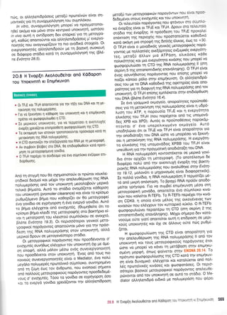 ndlq, ot oMrlhenr6pdoetg preto(ti npoteivdlv e(vot or1-
Lrowrdq Yto rn ouvoptrro6yr1oq rou outrrnl6rou'
' tn viiro, ouvopprol'6yr1or1 prnope( vo TlpqYporonot-
r10ei or<6po t<ot p6vo orov KewptK6 unorwqrq' oorooo
in vivo ourl q ow(6poor1 dev enopre[ Yto rn peroYpo-
on. rogtirc onono0wot rot ol'Lr1}'ent6p6oetg U' svepYo-
;"',n;A;, ovoyvtop((ouv ro nio ovo6trd
Totxtt:ol
evepyoilotnrdq oMqLent6poriv pre q-Bootrt1 ouoKeurl
or 5,o,popo orddto rotd tq ouvopgo6ynorl tns (9I5-
ne Evotqta 28.5).
geto[ti rov UeroYpoqu<tilv nopoy6worv nou e[wtnpr
6e6e;r6vor orouq evtoxur6q rot tou unoKvrlrrl'
---ili"L"u-oioi
nopdyoweq nou qtdvouv aro oti1.rtAc
oo Jropqns e(vot or TFIE r<ot TFrrH' Apouv oro re)'ewoio
*aO-itr1q 6vop[r1q. H np6odeoq tou TFIE nporolei
il;;rn' ina rieiioxns nou npoor.oretetot ro0odu6
r<otd or<61.11 1r,o orpo,pf'-r1q 6tnl'riq d'Ltrog' doq to +30'
o ri n tfrli o provo6tr6q yevx6q ;retoypoqrr6q nop6-
;;; ut .oLr.ii.Lgq ove(opqteq ev(upru<6q evepy6rrl-
irs, trti"gO dl'tov ;rto ATP6orl' eLtraols-1ill
no)rtx6trltog Kot Uto evepy6tlto r<wdorlq TIou Unopet vq
,pro,ilpr),,,iroet tr1 CTD rqq RNA nolu;repdorlq ll (orq
oep(vn 5 rrlq emonemtdxqg enovdtrqrprlq)' O TFrrH e(vot
6voq oouvqOtorog nopdyowoq nou en(oqq.prnope( vo
noiql, *anoio p6tro or4v entpt(xuvorl' ot oMrltrenr6pd-
;;G;", trre to DNA xq0odtKd tqq oqetrlp(og etuot ono-
ootmteq vto rn 6tqquYrltrlq RNA noLuprepdorlg on6 tov
;;^,"n-,'i o TFrrH inions etrrntrSretot orrlv ent6t6p0oor1
tou DNA (Blene Ev6rrya 16'4)'
' - -:" gudi ypoprprtr6 erpoye(o, onopofurlteq. npouno0S-
ot,iv* in'uetor<ffior1'rr1q nouprepdorlq e(vor q udp6-
truot1'tou ATP, 11 nopouo(o TFrrE t<ot
.n
tu"qY-6-ll,o
eiu<6or1g tou TFrH (nou nop6letot o19 rtq ufiouovo-
;;; Fb- rot xeo;. Aw6q oi npounoo5oerq nopor<dp-
nrovrot o' 6vo u.,"p,ito'1'5vo exgoye(o' Aut6
,r,oatlii,ut, 6tt or TFrrE r<qt TFrrH e(vot onopo(tnror Yl'o
irlv onoorfuo(r1tou oUn O*t vo gnop6oet vo Eer<wn-
oe, n pe.ooluqon rnq RNA no}'uUep-dor1g' H evepy6tq-
ro eltrdorlg rnq uTloUovd6oq XPBB tou TFrrH e(vqt
une0Ouvr1 Yto rrlv npoyprottr<ri onodtdtofq tou DNA'
-
;-RNA'.olupepdorl rowoor6retot oe ;reptr<6 yov[-
6to 6tov op{(er rn UeroYpoQn' (To onot6eotrro 6e
o,o,p6pr, noii'oto ttlv oventtuxq.eygpEn qq Borcrr1-
p,ooni RNA nol,uprepdonq nou ovotr60r1Ke ornv Evot4-
ii i s.'t z, ;toov6tt o prqlovtopr6g e(vot..5to<poperr6q)'
Ie noMd yov(5to, n RNA noLuprep6orl ll teppoil(et pe-
; ;6 u*bn ot omoo4' To Bpqx6 RNA npoi6v qno6o-
Ut"o, VpnVopo. l-to vo oupBe( entprqxuvor'1 U6oo orn
'ut-oVpoEion provd6o, onome(tot 5vo orSpnl'ot<o Ktvo-
!O" *tu r<otreftor R-TEFb' To R-TEFb neptsXet r1v rwd-
on COKS, q ono(o e[vot U6troq tqq ou<oy6vetoq rov
o*oot.fx nou eL6yXouv rov Kurrctptr<6 x6xtro' O R-TEFb
,ftoorpopuLtOvet nepom6pto tq CTD (orr1 oeptvrl 2 qq
emonemtdtrc'1q enovdMlqrlq)' M6Xpt on-gepo 6ev xoto-
,oo,iut o0te yiot( onot're(tqt outi 11 en6poorl oe uept-
*o,ii' ,"o*,rr1t6q ror 6Xt oe dI'ouq o0te ncirq puOpti-
(etot.--'H',pro,popuL(tloq
tqq CTD e(vot onopo(tqq yto
t1v onel'eu05pcoon qg RNA nolupepdorlq ll on5 rov
unortvrlt( ooi -oug ueroYpoqtKo.Uq nopdyoweg 6tot
dlme vo trrnope( vo xdvet rr1 petdBoorl ornv entprlKu-
,Ui"n lropq(, 6norq <po(verot^orrlv EIK0NA 20'14' To
np6tuno rptootpopu)'(tlonq rnq CTD rotd t1v entp{ruv-
;n;fu;iorrol-,,*o' e[6yxetot rot Kq'rol0erot on6 notr-
igs-nprt",utr5g rwdoeg Kqt Qooqordoeq' ot nepto-
,Zitpt, Boou<oi uerqYpoEtKoi nop6yoweq oneLeule-
il";;"ion6 rov unor<wqtri oe our6 to.cnd6to' o Me-
diatorol.l.rl}'ent6p6er6tr<dgeno}.upepdoqnourpdpet
2O.8 H'EvopEn AroAou0eiTor on6 K60opon
Tou YnoKlvnT6 Kl EntPfiruvon
* 0r TFIE ror TFrrH onoLtottvrot yto r1v rfl[r1 iou DNA Kot rn Ue-
rorivqorl rrlq notruUePoonq.
" rio ro [erwrloer rr ro0opol rou unortvqrrl rot 11 entpflruvorl
nprlnet vo rpototpoputrttl0e( 1 CTD
+ Ie uepLro0q unoxtvlrdq, Yt0 v0 lepuoT(oet q 0ventruxlg
evopEn Xpe to(eror eninpoo0errl tpo'rorpoputritloq rrlq CTD'
* io o*ilir.pl rov toroviiv rpononorouvrot npooroLpo roro 11
perorivrlorl rrlq RNA nohuUepoonq'
* H CTD ouvrov((et rrlv ene[epyoo(o rou RNA ue Tn ucToYpoQr]'
=, Av ouUBotiv ptrdpeq oro DNA, 0o entdLop0trl0otiv roro nporf-
Ulon To geroYPorP6Pevo Yovi6to'
"
'O
f i,,U nopdXet ro ouvdeopo yLo evo ouptnhoro ev(0ptt'tlv ent-
6toP0tlonq.
An6 q ortYLi( nou 0o olqprottororiv o^tnptotoL vourl'e-
oiio,noi at"uoi r<ot ;relpiirlv oneeu0epooq.tqg RNA
nouprepooqg on6 tov unoxtvrlrl preootroBouv UeprKo
.ri,o[ bnuo-o. Aw6 to ord6to ovo;rd(etot xaaaporl
,o, uno*rur1rr1 (promoter clearance) rot e(vot to rp(otpio
preU,qOUeuo'$6po no, r<oOop((et ov 0o preroypo<pe(
;;;i;;(6t oe evplvopo'q 11 5vo.evep16 vov(6to' Aut6
ro Brlpto eL6yXetot on6 evLoXur6q' (Ouprq0elte 6rt to
^p
iI,l,l- Bn u"'xLeta( q q pretoy pocpq q
To Pool p^t::
uo, q'pre-oiponrl tou r<.etoro0 ouprntr6rou oe ovotxro'
Bi.O"t rr,iinru 19.3). ot neptoo6tepot yevtr<o( peto-
vpl,p*ot nopdyoweg onottotiwor pi6vo yto r1v np6o-
Oton t,fq R'tlA noLuprepdonq fiov. unoKtvqtrl' o)'d
geptr<oi 6pouv oe Uetoyevdorepo ord6to'
Ot petoypo<ptt<ot nopoyoweq nou nOo96.evow11
1'
evrcrlutdq ouv(Oorq eL6yXouv rov unoKtvnrn oxt
lt-11?
on ino,pll, ol).d pdlov pr6ool ev6q-ouvevepYonorntrl
nou ,,poo66vero[ orov unoruvrltq 'Evog on6 rouq nto
r<oLvouq ouvevepYonotqt6q e(vot o Mediator' 6vo rt9Ltl
preyd).o nolu prep5g npoteivtr6 orj pntroro' ouwnpn Uevo
onL .n (rjpq Stlq tov ov0polno, nou evonote( oqgoto
on6 noMo0 g UeroYpoQtKo 0q nopoyoweq npoo6edepr6-
,./ouq o' evtcrlwdq. Tdoo to yov(6to oe eYpnYopon ooo
. r, i" *tpvl yovidto xpetd(owot r1v oMrlLen(6poorq
20.8 H'EvupEn Arolou0eitot ond Ko0opon tou Ynoxrvnq xt EnrElxwol 5t
I Boorx6c ewoteq I
 