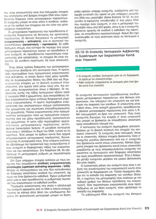 -
- - r, cq onootconllrllq) e(vot 6vo nolupep5q oroLle(o
- - - : .oreohot on6 Bpol6o orotle(o DNA Snou npoo-
,, -.:oi dtorpopot t[nor petoypotptrov nopoy6wt':v'
- ., c-1utdg l.rnope( vo e(vot ontro( 11 otivOetot, ovdtro-
r ..i :ov optOp6 rov orotXe[ov Kot rov t0no tolv peto-
- . - .- *, nopoyowov.
3. *etoypogtr<o( nopdyoweg nou npoodtivowot o'
, l, --i0g 6Lorp[vovtot oe OetLNoUg ror opvrittr<o0g
- r: r, ovreq. Ot 0ertro( 6Leye(pouv tq pretoypotp4
.','EpYonotnr6g - activators), evco ot opvqttro( 11v
. :-str.ouv (xorooroheig - repressors)' Ie roOe
:.::*rvq ortYpl, dvo r<rirropo 0o nept6Xet 6vo prtypto
. .-:.:ccptt<tr.lv nopoy6wr.ov tt<ovtrlv vo npoo6e0o[v o'
, '.. t','toxurfi. Av npoo65vowot neptoo6tepor evsp-
- -: -;eq on6 xotooroLeig, ro croLXe[o 0o eivot evt-
, - -c Ie ow(Oeq nep(mr.':o1, 0o e(vot onooLonn-
_. :
I. cq dl).oq tp6nog dtdxptoqq ttllv preroypoqtrrltv
- :: r . clrov Boo((etor orq Lettoupy(o toug' H npo-rq
- :i-,apilo;lBdvet toug npaytrtatxolq uepyonoLqr{'q
",: activators), ot ono(ot Spouv t6oo pr6oo np6ode-
r-: ti ouyxerptpr6veg O5oetq -rou DNA 6oo xot 6r1pt-
- -: . ivroq enocp6q ;.re tq Bootr<r1 ouoreurl otov
-:, .irn, e(re dpeoo (on6 ;r6vot roug) e[te, nro ou-
r 'oou-) ouvepYoilotrlttrlv 6ncog o Mediator' ot no-
- -.:, isq outrlg qq tolrlg trettoupyo[v e(ioou t<oLo
, '. -cve[o DNA n Xpoprot(vqg. Arjo entnp6o0eteq td-
:. : . . oOyonotntcilv eXouv ewel'trlq dtotpoperrxd pnxo-
- ..l svspYonotnonq. H npoltrl nepLLopBdvet evep-
:-:.nrsq nou snrorpoteUouv 6v(upro rponono(qo1g
-- r,oopor(v1g t<ot otipntroro enovodtop6pQoong
-- : ,.cLogor(vqq. l-1oMo( evepYonotnrSq orqv npoYpo-
- . ::-rc Lertoupyotiv t6oo tr-lg npoyprortroi evepYo-
- - -^:tq ooo xoL pr6oo npoodLxuo'r1q tpononotqtolv
-- - r.c0JUor(vlq. H tpitrl td(r1 nepfioprBovet opxtre-
.-, ..oouq UeroYpoQtKorjg nopdyovreq (archi-
'.-'-'a transcription factors) , H provodtxrl Lertoupy(o
-: - : iivor v' oMd(ouv rn 6oUn rou DNA, tuntrd vo to
. :.'-r:ouv. 'EroL pnope( vo ep0ouv r<owd 60o oplrr<d
r- - -trKpuop6vot geroyporpLr<of nopdyoweq, Steuxo-
- , - .aog rl ouvepYoo(o toug, Itrlv en6pevq ev6rlro'
: - ::ilooouue nto npooexttxd nirlg ouvepyd(owot o'
- r, .',/loxurrq ot 6to<popetLr6q td(etq rov evepYonot-
---, (ct rcDV Kclroorotr6tov. Ito Kecpdtroto 28, 0o e(e-
-:r:-.it rl ueroYpogrrrl pri0ptorl pre neptoodtepeg
: . - JLPUTL'
I:r (rj;rr1 undpXouv crrotleio ov6).oyo Ue rouq evt-
. , - iq nou ovopld(owot ovo6tx6g evepyonorqrl169
; ,-r
lAouXieg (upstream activating sequences - UAS)'
'-::.t vo Leroupyrloouv Kot ortq 6Uo roteu0fvoetg
-. -.:tpopeg onoordoetg ovo6trd rou unoKtvltrl, 61t
- --: (ot 6tov Bp[oxowoL ro0o6tt<o 'EXouv pu0prtortr6
: -' : Jiog rL ere( npoo65vowor ot puoptmtreg npolte'l-
:: :cu evepyonoto[v ro ro0o6tt<d yovi6to'
-iLpd;.roto ovoo0orootlq oro ono(o q oL)'q)'ouX(o
- - - I rLo{urll otpotpe(rot on6 to DNA r<t 5netto evoopo-
--,3.ct oe ronoto d).).r1 06o11 tou yovtdttill-totoq 6eG
. - - ., orr rguototroyrr<q uetoYpo<prt prnope( vo 6torr1-
pqOe( e<p6oov undpxeL evtoXurrlg, ove[oprlrc ] : :- '
or<pLBrl ew6ntorl tou (opr<e( vo Urlv undpXouv irc'';rii
oro DNA nou peootr'oBe( B).6ne Evorqta 10'12) At i':
yov(6Lo B-ogotp(vqq tonoOetq0e( o' tivo pdpLo DA
no, ntpi6xti 6ro, er,oxur1, in vivo I ueroYpoQn rou
O'ouEnde( ndvr,-l on6 200 <pop6g, toro Kt ov o evtoxurlq
Bp(onerot opr<et6g kb ovobtr<d q r<oOobtrd rnq oQer!-
pioq, o" onoto6rlnote npooovotol'Lo;r6 Ax6ptri 6ev 6Xet
ovoxol.urp0e[ oe notd on6moorl netiet vo ]'ettoupye( o
evLo'1urr1q.
2O.lO Ot Evtoxurdq nelroupYo0v AufidvovToq
Tn IuYKdvTpoon rov Evepyonornrdv Kovrd
oTov YnoKlvnTn
* 0r evtoxursq ouvflOutg trettoupyo0v povo oe cis Stouoptptlorl
0t 0x00n ue Tov unoKtvllTn-oroxo
* Ko0e evtoxurrlq unoypetirverot vo ),etroupyei p6vo orov ppe-
Oet xovro oTov unoKtvllTll
Or evtoXutdg Lettoupyoriv npoo6Svovtog ouv6uo-
opro0q 1-reroypocptr<cov nopoy6wt :v, e(re. Oettxriv eire
opvrlrir<cirv, nou etreylouv rov unoKtvqrq r<ot xot'en5-
Kroon rrlv 5xgpoorl rolv yovt6(ov. O unortvqrrlg e(vot
ri 06o11 6nou, srriv ovotXrrl Xptoprm(vq,.npoo65vowot
or Boorr<oi peroYpoqtKo( nopoyoweg 6tot oore 11 R-
NA no).upepdorl vo Bpe( tov unortvqtq l-lr'rrg dvog
evtolutrlg 6teya(per trlv 6vop[q o' 5vov unoxtvrltrl
nou'1-rnope( vo Bp(or<etot oe onotodrlnore ondorooq
npog onotodfnote ntreuPo tou:
H Lettoupy(o tou evtcnlurrl nepil.o;rBdvet otr-I'q)'ent-
6pdoetq pre rr1 Boorxq ouoreurl o--ro orotle(o rou Kev-
rpu<o6 unoxtv4tq. Ot evtolut5q e(vot nol'upepq, 6no-tq
Kor ot unoKtvrltdg. KdnoLo orotle(o Bp(or<owoL tdoo o'
evroXur6g preydl'ou Bel'qver<o6q 6oo t<ot o' evtoXur6g
nou.[p(orowot t<owd orouq unoKtvrlrSq' Kdnoto [eXo-
p,*d -o,Xt(o nou Bp(oxowot t<owd oroug unortvqt5g
1-rotpd(owot Ue rouq onopoKpuop6voug evtolutdg rrlv
rrov6qto vo Letroupyoiv on6 dtdqopeg onoordoeLg
Kot npoq onoro6qnote npooovotoLto;-t6 'Etot q 6tdt<pt-
o,1 1r"-oi,l evtcrlw6v preydLou t<ot ptr<poti Bel'rlver<orjq
6ev e(vot ooQnq.
O ouotooru6q p6).oq tou evtolutq (ootg e(vot 11 o0-
Enorl rnq ouyr<6wproorlq rou evepYonotrlrrl rowd otov
,noo,u,'l-tn oe dtopr6ptptrlorl crs. t-loMd netpdproto 66et-
[ov drt to en(ne6o qq 6xqpoorlq tolv yovr6(ov (611]'o-
O(, q tol:qro rrlq pretoypo<pqq) e(vot ovdtroYo ile rov
xo0op6 opr0pr6 to:v 06oeov npdo6eo4q rou evepYo-
noulrq. Ooo neptoo6tepot evepYonotnr5g e(vot npoo-
6e6epr5vot oe Uto 05or1 evtolurq, t6oo uqJn^'6repo ro
enine6o tqq 6rcPPoorlg.
To pLBootoprtr<6 RNA rou evtoxurq rou Xenopus
:tt."i,; 0r EvLoxurdq Aeuoupyouv Au[ovovrog rr1 luyr6vrpolol rtrlv Evepyonorrlrtirv Kovro orov YnoxLv-l- 573
 