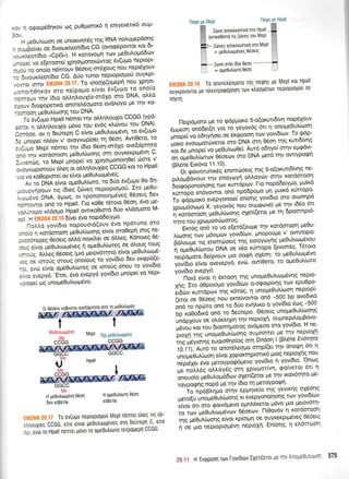 ndqn us Mspl nam P8tho
. r, n oeotp6Orlrov rog pu0prtortr6 q entyevertr6 ou;t-
t-.,
i ;re0ul(oor1 oe unorwqt6q qq RNA notrupepooqq
,,,u[olur, oe dtvoureoti6to CG (ovoq5powrot rot 6t-
,."-ol!oiio,o "CpG,). H r<otovoprl tolv. pre0uoprd6tov
.-l.orl vo e(etome( xpqotponotowoq riv(utrto neptopt-
, -.u .o onoio n6mow b6o"tq-*6xoug nou neodxoyy
-: 5rvoux.treot(6ro CG" Arjo r[not neptoptopou ouYKpt-
.l,.roL ornv , '' To roocrtrt(oprepq nou Xpnot-
-.:noLqOqxov oto ne(pogo elvot ev(upto to ono(o
Ir.-oru tqv (6ro oLr1ou1(o-mo1o.oro DNA' o)'Ld
.,cuv 6to.popertrd onotetrSo;toto ovdtroyo Ue rnv Ko-
lf,Tool Pre0u(tooqq tou DNA'
--i;;(rt- Hpall n6met trlv o)'rllouxto CCGG (vod-
.rroi,l olLnLorXlo p6vo tou ev6q xtrtrlvou tou DNA)'
:-Joo ov q 6e0tep1 C e(vot preOutrtcop6vrl' to 5v(upto
:, irnoptl n6ov v' ovoyvop(oet q 06oq' Aw(0eto' to
,,lrJ" Mspl n5nter trlv (5ro 05or1-or6xo ove[dpqto
, .. -n, xotdmoorl pe0ul'(rooqq orrl ouYKe-Kptp6vq C'
:-'renrq, to Mspl lrnopei vo Xpnotponotn0e[ toore v'
l,
"vtrpi*"tv
6treq ot oMrlou{eq CCGG rot to Hpall
..: vo ro0optote( ov e(vot ge0utrttolt6Ye.S . -
ev to ONA e(vot ope0u}'it''lto, to 6rjo 6v(upro 0o 6n-
- ...lryqoouu ttg (6teq (oveg neproptotrrot'^Ito geOu-
' --.uo DNA, 6pcoq,'oi -pot'onotrl;reveq.06oetq 6ev
-.-::cwoL on6 to Hpall' I-to r<d0e tStoto 06oq' 6vo pe-
.'.-..po x).dopro Hpall owtro0tord 60o rldoproto M-
:: -r ' 6(vet 6vo noPd6etYPto'
-ctr'o yov(6to nopouotd(ouv 6vo np6tuno oto
: t.c rl i<otdoroorl geOu)'(oor1q eivot oroOeprl ortg ne-
, - ro.tptq O5oetq oM6 notril'et oe 6Meq' Kdnoteq 06-
-'-, ;i;;, preoultrrrpr6veg q opreOuL(oteq oe 6trouq toug
-.. ;. ALLeq O5oetq 1;rio' petov6trlto) e(vot pre0utto;r6-
': ce Loro0g orouq ono(ouq to yovl6to 6ev errppd(e-
-: ovo e(vot opeOu}'(oteq oe toroUq 6nou to yov[6to
. ..,-tutpVO. 'EtoL, 6vq evepy6 yov(6Lo prnope( vo nept-
: lQe[ og unotrre0u].tco;r6vo'
ffi Ztivn onorletmtxd mo HPall E
ffi owxoOtmo rtq (tirveq tou ttlslt
ffi
ES- zOues qnor[etmtxd oto Msol | ]
I I = Ueeultogdveq Odostq I
L
llr ZoVTI omv iDro 0eorl
-
L l =oue0u(orn06on
.l
0r edoetc KoBowot oveqoprrlro ono n1 geOul[oon
pi{aMg."ffi
t
Meouhtog6vo Mspl oxl [eoulrr,lu6vo[ ]lo
ccdc -_-cgcq
H oue0utr(olu 06on
KoPeTot
U
npilrr
r,rre I
sa?fffraacffi';'-ffi;ffiGGCC
lle
H pe0utrttoP6vr1 0doq
0ev rdPerot
To 6v(upo neptoprogotl Mspl n6nret oheq rLg otr-
,-ouxieq CCGG, e(re e[vot f-ie0u]'Ltogeveg oi1 deurepn C' e(re
- ., ;vii,; Hpall nenret p6vo ro ope0utriolro rerpoueprl CCGG'
E|K0NA20'lEToonotetr6ogotoflqn6UnqueMsplrotHpall
;;ffiil;i ue nlenporpdpnorl to:v rtroopdrov neptoptopot oe
nr1xu1.
I-letpdproto pte to 96pgot<o S-o(orund(vq nop6Xouv
efrfr"on on66eiEn Yto ro yeyov6q 6tt 11 onopre0u)r(oor1
fi;;i; oonvno". oe 6rqpooq tov^vovt6(tov' To <pdp-
Io^o ,uoruo.tivetor o'o oNR orq 06o11rqg r<ur6fur1q
[;i;t";;ffi vo 1-reeumoee(' Aur6 o6qve( orqv e;re6vt-
ililt6r"ra;-rr'e6o",u oro DNA pretd qv owrvpoq{
(pMne Etr<6vo 11.10)'
Ot tpoworuntreq entmdroetq rnq 5-o(or<wt6(vr1q ne-
prLoprBdvouv qv enovtov( oLl'ovtirv *ly ^:TT.::l
b,o,poponohonq rov t<urtdp.tr:v' l-to nopd6etyuo' uurKq
^,:tiobo
endyowot on6 np6Spopro pr1 purr6
ry11>:
to qdppor<o evepyonoe( en(oqq yov(6.to oro otonnpo
voou6otouo X, yeyov6q nou ougQove( ;re r1v t66o 6tt
f,"dilffi ite,Jxr"ns oxet((etot ;re q 6pocnrlpt6-
rnrorou xpouooouoroq' -_ !_' i*rOqind -o ,o e[etd(oupre qv xotdoroorl ueou-
)r(toorlg ttr:v p6vt;ttov yovt6(tov, ;rnopo[ge v' owtnopo-
|l.L" tir" ils' en,mooe,q rnq etoqY oYrlq peo uhtto;r6vo u
[;;fudou DNA ot
'eo
r0rropo [evtor6q' T6roto
.,r,pouo* deftvouv pto ooqrl ox6oq: to-pre0utrtropdvo
VouiOto e(vot ovevepy6, evr'il, ow(Oero' to otrle0u(toto
yov(6to evePY6. ...!'- noia eivot 11 Srroorl qg unope0utrttopr6vlg nepto-
fiq; Ito 60potopro youi6i" o-o"tpotpffiq rtov epuOpo-
et6dlv r<urrdpov Tnq r6tog, q unopreOutr(tooq neptopf.
(etot oe 06oerq nou ercrefvowot on6 -500 bp ovo6xd
;J.;il;;o ht o ro 60o evnr.ro o vovi6to 6tog -500
[p
^"e"ri,^a
on6 to 6e0rcpo' oSoetq unope0u]'[<oonq
,Iapi" * tt o).6xlr1 pr1 tr1v neptoxq' ou ;rnepiloptBovo-
uirJu' oo, tou otoorrl lroroq ovdpeoo crro 1?:i9:: I ::;
i,oxn .ns uno ge0ul(trrorlq ou prnhtet. Fl.qv fl eptoxn
ili}*,*a euotoorlo(oq orq Dndoq I (Blene Evot4ra
io.l'l).'nrtO'to onot6l'eopro orrlp((et qv dnorl'rq 6tt q
,""lrlgriotr1 e(vor xopoKrnptoru<6
proq neptolrlq nou
nrpi61r, 5vo pretoypoq6;revo yov(6ro n Yov(5ro'
'Onolq
u"-"lilga ollov6q fin xpouqr(vq' cpo(vetot 6rt n
[i"rol" ui,eulopo6tov gxet((etot pe tr1v xov6tnro ue-
toypogf,q nopd ;re qv (6to rn UeroYpogn'
To np6B)rr1po ornv eppqve(o tqq yevtr<dq oX6onq
u".oi,i unoueeulioong oi t'"pyono(nonq ttov yovt6itov
tiuo, b., oto tpow6pevo etr'tntr5retot p6vo pto petovorn-
io tL" rrtgutuo;r5vtov OSoecov' l-lr0ov6v 11 rotdotoorl
-is deli-"rlg e(vot r<p(otpr1 oe ouYKeKpu6veg 06oetg
11 oe pto neptoprog6vrl neptol4' En(onq' n el'dtcoon
20.11 H'Extppoorltov [ovtd(tov lxeti(eroL Ue nlv Anope0utrfoon 575
 