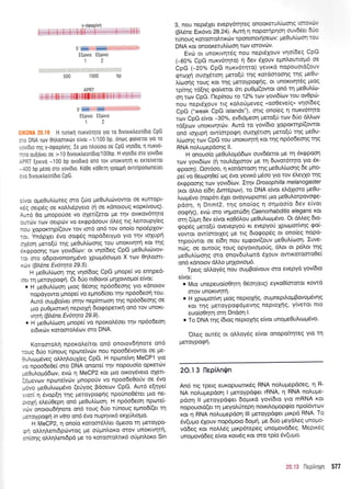 Y-0Q0tptvn
iililiillllili
500 1000 bP
APRT
i ii lliiil liliilllllfillfillfrlilllilililliil l1 i I
5',
E[rirvLo E[tivLo
-:: .': H runtq [uKVoTr]To Yto 10 DtvouKtreoT[0to CpG
rro DNA rov 0rlloolx6v ervot -1l1 00 bp, onoq Qo[veTot Yto T0
,ovtDto qg y-orpotptvrlg. Ie pto ntrouoto 0e CpG vn0(00, 11 nurvo-
.-ro ou[ovet oe > 1 0 6tvourieor(dto/1 00bp. H vrloLdo oro yov[6to
:PRT (er<tvo -100 bp ovodtro 0n0 Tov unortvlq Kt tKTttvtTot
..100 bp Us00 0To yovtdto, Ko0e xo0eq ypopprl ovrtnpootdlleutt
.,/o DrvouKtrtoT(bto CPG
i[vor opre0u].(oreg oto (aro pre0u].ttovowot oe Kurrclpt-
<eg oerpdq oe r<oMt6pyeto (r1 oe ronotouq xopx(voug)'
Aurd 0o pnopo0oe vo oXer((eror Ue rnv ovtt<ov6-rqto
:urci.lv rtov oeLprrtv vo ex<ppdoouv 6leq ttq Letroupy[eq
rou XopoKrrlp((ouv rov tor6 on6 tov ono[o npo5plov-
:oL VnopXer dvo oo<p6g nopo6etypro Yto rrlv toXupq
qdoq peto(6 qg ;re0u).(oor1g tou unor<tvqrrl Kot rrlq
3,Kepoonq to:v yovt6[tov: ot vrlo(6eg CpG pre0u].L6vov-
oL oro oSpovonotq;-rdvo Xpopr6oopro X ttlv 0r1troo-rt-
<rrrv (B).dne Evoqta 29.5).
H pre0ul.(roor1 qg vqo(6oq CpG pnope( vo enqped-
Joi rrl Ueroypoprl. Or 60o nL0ovo( prqXovtopro( e(vot:
. H peOu).(toon Utoq 05oqg np6odeoqq yto ronoLov
nopdyowo prnope( vo epno6(oet rrlv npdodeorl tou'
Aw6 oupBo(vet orrlv nepimolol qg np6odeo4g oe
;.tto puO;rtmtr<r1 nepropl 6togopettr<r1 on6 rov unort-
vr1rrl (BL6ne Evoqta 29.9).
. H Fe0u(roor1 trrnope( vo nporoltloet qv np6o6eoq
eL6txtr.lv xotomotr6rov oro DNA.
KotootoLrl nporoLe(tot on6 onotovdrlnote on6
:oug 6tio t0noug npoteivolv nou npoo66vowot oe pe-
:utrLopdveg oMqLouX(eq CpG. H nprorelvq MeCPI yto
,'o npoo6e0e( oro DNA onoLre( tqv nopouoio opretolv
-re0uLoprd6ov, evc0 q MeCP2 Kot pto ott<oySveto oXett-
loprevo,tv npirtte[vcbv prnoporjv vo npoode0orjv oe 6vo
*dvo pre0ulttrr;r6vo (erjyoq Bdoeov CpG. Aut6 e[r1ye(
'.'Lor[ q 6vop[r1 rnq UeroYpo<pr1q npo0no0Stet pto ne-
cLolii eLerjOepq on6 ;re0u)r.(coor1. H np6o6eor; nporei-
,'cov onotou6rlnote on6 rouq 60o rinoug eprno6((et r1
reroypo<p1 in vitro on6 6vo nuprlvtr<6 er<1itrtopro.
H MeCP2, q ono(o t<otoot5Met dpeoo rrl UeroYpo-
cr-1 oltrqLentdptrtwoq pe o[pntroxo orov unortvqrrl,
in[or1q oMqtrentdpo Ue ro Koroorotrttx6 otiprn]'oxo Sin
3, nou nept5Xet evepy6rqreg onoqraTul[oonq srowir
(BLene Eu<6vo 28.24). Auq q noporqpqoq ouvdeer ilio
i ir,ouq rotooto.ttt<cilv tpononot{oeov: trre0u}titrurl tul
DNA r<ot onooretutr(toorl rov tqrovtilv.
Evdr or unoxtvqr6g nou nept6Xouv vrlo(6eq CpG
(-60% CpG nur<v6trpo) 11 6ev SXouv epntrouttop6 oe
CpG (-20% CpG nurv6tqto) yevtrd nopouotd(ouv
qroxn ouoXdttotl ;reto[0 qq r<ordmooqg qq pe0u-
L(toorlg rouq Kot rnq UeroYpqQnq, ot unorwqr5g pttog
rpfur1g td(r1g <po(vetot 6tt pu0g((owot on6 tr1 pe0u}'ttrl-
on rov CpG. I-lep(no u to 12o/o tcov yovtd(cov tou ovopri-
nou nept6Xouv rtq xol,oti;reveg (qoeeve(q) vqo(6eq
CpG ("weak CpG islands"), ortq onofeq 11 nurv6trlto
tov CpG efvot -30o/o, evdtdpreorl peto[ti rolv 6rio dMtov
rd[ecov unortvqrcilv. Autd to yov(dto Xoporcrrlp((owot
on6 ro'Xupr1 ow(mpotp4 ouol6ttoq peto(0 qq peOu-
L(rrlorlg tcov CpG rou unoKtvnrri r<or t4q np6odeorlq qq
RNA no)ruprepdorlq ll.
H onouo(o ;re0u}'opd6ov ouv66etot ;.re tr1 5x<ppoorl
rcov yovt6(tov (ri touLdXtorov Ue rrl 6uvot6rpo yto 5x-
qpoon). Qsr6oo, 11 r<otdoroorlrqq pre0ul[tooqg 6e gno-
pe( vo 0eo:pr10e( cr.rq 5vo yevx6 pr5oo yro tov 5l'eyXo rqg
6r<rppoolq rov yovt6(rov. It4v Drosophilla melanogaster
(ror dMo e(6r1 Arm6pov), to DNA e[vot etrdXroro peOu-
tr rcopr5vo (nop6n 6Xet ovoyvroptoref pto pe0u].otpovo<pe-
pdon, 11 Dnmt2, tqg ono(oq 11 oqproo(o 6ev e(vot
ooAnq), evc0 oro vqgorrildrl Caenorhabditis e/egans xot
orn (6pn 6ev e(vot xo06trou ;re0utrropr6vo' Ot dMeg 6to-
qopdq prero[ri ovevepyoti n evepyo0 lproprotffiq qo(-
vowor ow(orotleg pe ttg 6to9op6q ot ono(eg nopo-
qpo0wot oe e(6q nou eprrpov((ouv preOutr(toor1. Iuve-
nd,g, oe owo0g rouq opYovtopotig, 6trot ot p6trot rrlg
pe0utr irrlorlq mq onovduLotd 6Xouv owtKqrooro0e(
on6 rdnotov dMo Pr41ovtotrr6.
Tpetg oMoySg nou ou;rBo(vouv mo evepyd yovbto
efuot:
. Mto unepeuoioOrFn 06or;(erq) eyroO(orotot t<owd
orov unorwrltq.
o H Xptouorivq groq neptoXqg, ouprnepil.ogBovop6vng
Kor rnq petoyporp6prevrlg neproXrlg, y(vetot nto
euo(o0r1t4 mr1 Dn6or1 l.
o To DNA rng (6ro9 neptoX(g e(vot unoge0ul'ttrlp6vo'
'OLeg outSq ot oMoy6g e[vot onopofurlteq yto tq
preroypo<9r1.
5'*r* e*$
E(rirvto E[titvto
12
2O.13 tlegirntlln
An5 rg rpetq euKoputr:ttr6g RNA nol'utrrep6oeg, 11 R-
NA nolupepdoq I pretoypdqet rRNA, q RNA no}'upe-
p6o4 ll pretoyp6ger 6o;rtxd yovfdto yto mRNA xot
nopouotd(et q preydt6teprl no u<t tr'o pto p<p(o npoi6wcov
ror 4 RNA noluprepdoq lll peroypdqet ;rtrp6 RNA. To
6v(upro 6Xouv nop6proto 6opt(, pre 56o preydLeg unopo-
vd6eg ror noMdq pxp6tepeg unoprov66eg. MeptrSg
unopovd6eg e(vot row6g xot oro tp(o 5v(upo'
: !-r':-l tll
 