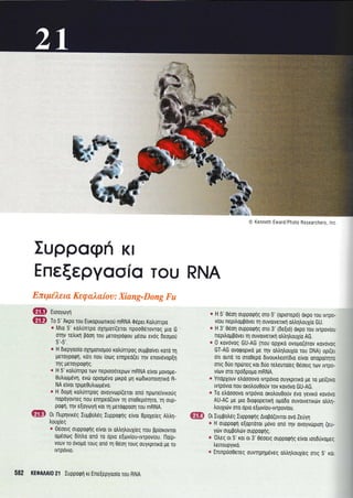 Euppogri Kr
EneEepyooio Tou RNA
ffi eLooyoyrt
ffi fo 5'Arpo rou Europuarnrou mRNA 06pet Kotrunrpo
* Mto 5' rotrunrpo oXrlporr(eror npooOerovrog pro G
or4v retrrrrl pool rou peroypotpou Ueoo evdq deopou
5',-5',.
e H dtepyoo[o oXlportopou rotrunrpog ouppo(veL roro 11
peroyporpl, ron nou rooq ent1peo(er rrlv enov6vop[r1
rrlg peroypotprlg.
* H 5' rotr0nrpo tlv neproooreptov mRNA e(vor lrovope-
0utrulpevl, evtir opropevo Utrpo Un rtodtronolqlro R_
NA e(vor rprpe0utrrurpdvo.
+ H doilrl rotrunrpog ovoyvop((eror onri nporeivrroug
nopoyovreg nou enrlpeo(ouv q oroOepdr4ro, Trl oup_
potp1, rr;v eloVtoyn rorq gerogpool rou mRNA.
ffi O, Iluprlvrreg Iuppotreq Iuppoqnq ervot BpoXereg Atrtrq-
trou1(eg
* 06oerq oupporprlg eivor or otrtrqtrou1reg nou pp(orovrot
opeotog Otnlo ono ro dpro e[ov(ou-rvrpov(ou. l'lotp-
vouv T0 ovopo roug ono rq 06oq roug ouyxpurro pe ro
rvrpovro.
582 KEOAAAI0 21 lupporp1 rr Ene(epyoo(o rou RNA
@ Kenneth Eward/Photo Researchers, lnc
* H 5' 06q oupporpnq oro 5' (oprorepd) orpo Tou rvTpo-
viou nepiloppovrr ul ouvorvrTrrr1 otrtrr1trouX(o GU.
e H 3' 0eon ouppoqriq oro 3' (6e(ro) orpo rou rvrpoviou
nepiloppover rr1 ouvotvelq otrtr4trouXio AG.
* 0 rovovoq GU-AG (nou opyrro ovopo(drov rovovoc
GT-AG ovorpoprro pe qv otrtrr1trouX(o rou DNA) opr(eL
on ouro ro oro0epo 6rvourtreor(Oto e(vor onopo[qro
ong 6uo nptireg ror 6uo reLeuro(eg Oeoerg Tov rvTpo-
v[tr-rv oro npodpogo mRNA.
e Ynopxouv etroooovo rvrp6vro ouyxprnxo pe ro pei(ovo
lvrpovro nou orol,ouOouv rov rovovo GU-AG,
* To etroooovo rvrpdvro orotrouOouv rivo yevrro rovovo
AU-AC pe pro 6rorpopelx4 opo6o ouvorverxtirv otr),1-
trouXuirv oro 6pro e{tov[ou-rvrpoviou.
0L Iuppotr6g Iupporpr.lg Aropo(ovrot ovo Zeuyrl
* H ouppoqrl e[oproror ;tovo ono qv ovoyvdrprorl (eu-
ytirv ouppotrrirv oupporprl g.
e '0treS
ot 5'xor ot 3'0eoetg oupporprlg e(vor tooduvopec
treuoupyrro.
* Enrnprio0ereg ouvrrlp4g6veg otrtrr.1trouXreq onq 5, xoi
ffi
 