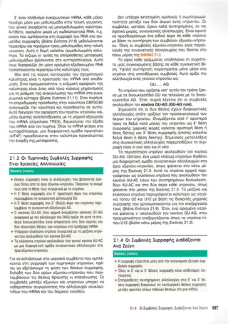 I' 6vov ntrq0uopr6 europutottxc0v mRNA, r<d0e pr6pto
nepr6Xer ;r6vo puo ;reOutroprd6o orqv retrtni youov(vr1,
nou yevxd ovoE6petot trtg provopreOutrttopr6vq r<oL0mpo.
Aw[Oero, optopt5vo pupd prrl rodxonoqnrd RNA, n.X.
exefuo nou epdSrowot oq ouppog4 rou RNA oro oo-
pcn(6ro ouppoqqg (BI6ne Ev6rrya 27.6) preOuLttirvowot
nepordp<o t<ot nepdlouv tperg preOutroprddeg orrlv rcLrq
youov(vr1. Aurri q 6oprri r<otrekot tptpeOul,trog6vq rol[-
mpo. To 6v(upo yt' out5g ttg entnp6oOeteg preroEop6q
peOutrop66tov Bp(or<owot oro Kurrop6ntroopto. Aur6
(ooq drooqoA(er 6rt p6vo optopr6vo e(et6u<eug6vo RNA
rpononoro0wot nepor6pco ortg xo}Umpeq rouq.
Mro on6 lg r<Upteg l.eroupy(eg rou oXrlgottol.to0
xol.Umpog e[vot 4 npootoo(o tou mRNA on6 ono66-
pqoq. Iqv npoy;rorx6qto, q ev(upxti ogo(peor1 qg
xol,0mpog e(vot 6vog on6 roug rfptoug pr4XovtqroUg
yro q p0Optorl rnq ovorfxtroorlg tou mRNA oro euKo-
puortrd r<[rropo (F],5ne Ev6tqta 21.11).Itov nupfvo,
ro erepodrpep6g np6o6eonq ornv rotrUmpo CBP20/80
ovoyvrop((er qv xolUmpo rot npoo66vetqt oe ourqv.
Aur6 6reyeQet r4v o<po(peorl rou npd:rou twpov(ou rot,
prSoco dpreorlq otrl.ql,en(6poonq Ue rn Unxovn e[oytoy{q
rou mRNA (otiprnLoro TREX), 6teuxolUvet qv 5[o6o
rou mRNA on6 tov nup4vo. 'Orov to mRNA gtdoet oro
xurrop5ntroopo, pto 6toEopertrq oprd6o npulteivdtv
(elF4F) npoo66vowor offlv rotrtintpo nporotrri:woq
rqv 6vop(4 rqq perd<ppooqg.
2'1.3 Or llupnvrrdq IuUBoAdq lupporphq
Eivor Bpoxeieq AAAnAouxieq
a 06oetq oupporprtq e[vot ot otrtrrltrouxteq nou pp(orovrot optl-
oog drntro ono ra opLo e[otv[ou-tvrpov[ou. 11o(pvouv ro ovol.lo
roug on6 q 05011 rouq ouyrptrtro pe ro tvrpovto.
* H 5' 06on oupporprtq oro 5' (optorepo) orpo rou tvrpovlou
neprtroppovet rr1 ouvotvettq otrtr1trouXio GU.
* H 3' 06oI ouppoQnq oro 3' (de[t6) drpo rou rvrpov[ou nepr-
troppover rr1 ouvotvertrtl otrtrltroux(o AG.
u 0 xovovoq GU-AG (nou opxtro ovopo(orov rovovog GT-AG
ovorpoprro pe rrlv otrtrr1trouXio rou DNA) op((et ort ouro to oro-
0epo Drvouxtreor[Dto elvot onopo[qro ortg duo nptitreg rot
6uo retreuro(eg 06oetq tu-tv tvrpov[tlv oro np6dpopo mRNA.
* Ynopxouv etroooovo tvrpovto ouyrptnro pe ro ge(ovo tvrpd-
vto nou orotrouOouv rov rovovo GU-AG.
* To etrdooovo lvrp6vto orotrou0ouv 6vo yevtro rovovo AU-AC
pe gro 6rorpoperrrrl opo6o ouvotvertrtlv otrtr1trouXttilv oto
opto eItov[ou-rvtpov[ou.
l-ro vo eortdoouUe oro proproxd ouprBdwo nou e;intr5-
KOVTor orn ouppoQl ttr;v nuplvtr<c0v twpov(olv, np6-
ner vo e[erdooupre q gUorl ttov 06oeav ouppaEt]q,
6q).o6rl rov 6tjo op(ov e(cov(ou-twpov(ou nou nept-
LoprBdvouv lg 06oerg OpoUorlg xt enov6vtoonq. Ot
ouprBoldg peto[ti e[ov(ov xot twpovf<ov pnope( vo
r<o0opLoroUv ouyrp(vowog qv oMlLouX(o voux.treo-
rL6(rov rou mRNA Kot rou dogtr<otl yovt6(ou.
Aev undpla ercretopt6vq o;rol'oy[o rl oupnA4potr
rrr6rlro ;reto[rj tcov 6Uo drpov evSq twpov(ou. Ot
oupBol.5q, tr:01600, 6Xouv ro}'d ouvrrlpqprSveq, clv Ktrl
oXenr6 prxp5g, ouvowerr6g oMql,oulieg. E(vot egu<r6
vo npoodrop(ooupe 6vo et6tr6 dr<po oe xd0e rwp6vto
Ue Bdon q ouwrip4crq tov ouprBoLcirv e(ovfou-twpovG
ou. 'OLeg or oupBol,6g e[cov(ou-twpov(ou efuot nopotr-
).oy5g r4g ouvotverxqg oMrlLouXfoq nou dfuetot oro
ndvco pr6pog rnq EIK0NAI21.3.
To rjryog r<dOe ypd;r;rotog unod4trdrvet rrl ou1y6r1-
ro proq ouyr<erptpt6vns B6onS oe xdOe ouvotveurcl 05-
orl. YqrrlLi ouwripqorl nopoqpe(tot pr6vo pt6oo mo
rwpSvro orrq unonO6preveg ou;rBol6g. Aur5 op(er rqv
otr,r1trou1(o ev6g yevtrori twpov[ou rrlg:
GU...,.. AG
To rwp6vro nou op((etot rqt' out6v rov tp6no [ert-
vd pe ro 6tvourtreot(dto GU rot teletrilvet pe ro 6wou-
rLeor(dro AG. 'Etot, ouXvd l,6yerot 6tt ot ouprBoldg
orol.ou0o(v tov xov6vo GU-AG (GU'AG rule).
Iqprerdrme 6tt ot 6uo O5oetg 5Xouv dtogopertr5g
oMrltrouX(eg on6te op((ouv rov npooovototrtotrl6 rcov
drp<ov rou rwpov(ou. Ovotrrd(owot on6 t' optmepd
npoq ro 6eltd xotd prrirog tou twpov(ou rog 5' 06o11
ouppogriq (peprr6g Eop6q rotre[tot oproreprl 06on n
06o11 d5qq) ror 3' 06oq ouppogrlg (en(or1g rotre(tot
5e[rd 06oq ri 06on 6611119). Erlpretox6q preto]']'d(etg
orrq ouvqtvertr6q oMqouX(eq nopeprno6((ouv rrl oup-
pog{ 16oo in vivo ooo rot in vitro.
To neptoo6tepo twp6vto ot<olou0oriv tov rov6vo
GU-AG. Oar6oo, 5vo ;lrp6 xLdopro twpov(tov 6ro05tet
puo 6togopetu<n opddo ouvowertrcilv oMrltrouXtrilv mo
6pro e[roviou-twpov(ou, 6ncog <po(vetot oro r<dtto pr5-
poq rnq Erx6vog 21.3. Autd to twp6vto oplrxd nept-
ypdrpqr<ov crlg etrdooovo twp6vto nou orotrouOotiv tov
rqv6vo AU-AC L6yco rcov ouwqpqprdvov 6tvoux.treott-
6(rov AU-AC Kot oro 6Uo drpo xd0e twpov(ou, 6ncog
qo(verot oro p6oov rrlg Etx6vog 21.3. Tq pe((ovo t<ot
eldooovo rwp6vto neptypdgowot rotrUtepo og rwp6-
vro rfnou U2 r<or U12 ;re Bdoq rtg 6torpn6g pqXov6g
oupporp4g nou XpnotUonoto[wqt yro rrlv ene[epyoo(o
roug (Btr5ne Ev6tryra 21.9).'Ero; evri: optopr5vo twp6-
vto qo(vetor v' qxolou0oUv tov rov6vo GU-AG, orqv
npoyprorx6rqro ene(epyd(owor 6nog to twp6vto tti-
nou U 12 (pMne r<fuo pr6pog r4g Etx6vog 21 .3).
21.4 Or lupBoAdq luppogriq AroBd(ovror
Avd Ze0yn
e H ouppoQn e[oprorot povo ono rrlv ovoyvdrptol (euY6v ouu-
Botrtitv ouppotplq.
c'0trsS or 5'ror oL 3'06oetg ouppoQnq elvot tooduvopleg tret-
roupyrro.
a Enrnpoo0ereg ouvqplp6veq otrtrltrouxieq ortq 5' rot 3' 0d-
oeLq oupporpnq 6rorp[vouv rtg tretroupytt<6q 0eoetq 0uppoQ]lc
pero[rj oprerdrv otrtrtov ntOovtirv 06oeov oro pre-mRNA.
21.4 0r Iuppotreg Iupporpnq Atopd(owoL Avo ZeuYTl 587
Boorxeq eworeg
Boorx6g eworeg
 