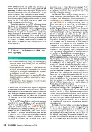 nRNP ofloretrefuot on6 ;uo o;rd6o orcr6 nporeivdlv, or
ono(eg ovoyvco p((owor ro ouroclwrorirproto qwr-S m
(anti-Sm). Iuwqprlprdveq oMqLou{eg orrg nporteiVeg
onoteloriv ro or6Xo owrilv roJV owroopdrrov, Or un6-
Lorneg nporelVeg e(vot llovo6rxdg yro rd0e snRNP. Or
npo:teiveg Sm npoodSvowor orrl ouwrlp4;r6vr1 oMq-
LouX(o PuAUg-oGpu 11 ono(o undpXer oe 6Lq to snRNA
ercr6g rou U6. To U6 snRNP neprSXer pro opd6o npo-
reivdlv nop6pouov pre ng Sm (Lsm).
Opropdveg nporetveg rov snRNP nr0ov6v epntr5r<ov-
ror dpeoo orn ouppqqn. iMeq (oo4 SXouv 6oprrorjg
p5louq 11 e[vot onopo(r4reg yro rrl ouvopprol6yrlon n
yr' oMqlentdpdoerg pero[0 rov ocol-ron6(ov snRNP.
l-1epfuou ro tivo rp(ro rov npoteiv6v nou epnfuixowor
orn ouppoq4 efuot ouoronxd rcov snRNP. 'OLo r<or ne-
ptoo6repeg evde[(erg uno64],d:vouv 6u to RNA 6Xer
dpeoo p6Lo or4v r<otdtruor1: ouvend:q, or neproo6repor
nopdyoweq ouppoEr1q Unope( vo 51ouv dopur<oUg p6-
).ouq n vo oupr;rer51ouv fin ouvopprol.6yrlorl rou oo1.to-
n6(ou ouppogfq.
2 L7 Adop€uon Tou fip66popou mRNA oTnv
006 Iupporpfiq
" To U1 snRNP nporotre( qv evop[1 11q oupporprlg pdtrLq
npoo0e0er oqv 5' 06oq oupporpqq U6orrl luog ovr(6poo1g
(euyoptirporog RNA-RNA.
u* To ouUnl,oro 66opeuoqg nepL6yer ro U1 snRNP npooDe6epS-
vo orrlv 5' Oeoq ouppoQnq rol rrlv nporelvl U2AF, 1 ono[o
npooddveror 0e Uro ouoTorxlo nuprprdrvdrv pero[u rou orlpe!
ou 6ror),o0cooqq Kor rnq 3' 0eo1g oupporprlq.
e Iroug notrururopouq europutlreg, or nporeiveg SR nor(ouv
onopo(qro p6lo oqv evopfr1 rou oXr11-rolopott rou oupntrri-
rou deopreuorlg.
* To (euyoptolro rorv 0doeov ouppoqlq enuuyXdveror pulotrt
oproliou rov rvrpovlov r1 ralv e[trlvirrtv.
H ovoyvrrrpron rcov ouvorvelrcbv orlpdro.lv ouppogrlg
nepil.oprBdver 16oo RNA 6oo rot nporelveq. Opropr6-
vo snRNA 61ouv oMrl).ouXieg nou e(vor ouprn).r1popro-
nr6g trrrv ouvqtverrKcbv oL).q).ouXrov 11 prero[rj roug
r<or to (euydpc,.rpo ;rerofri tou snRNA Kor rou pre-mR-
NA r1 peto[ri rov snRNA no[(er orlprowrx6 p6].o or4
oupporprl.
To U'1 snRNP tou ovOptonou neprdXer trg r<ewptxdg
nporeiveg Sm, rperg er6u<69 yro ro U1 npurrelveg (U1-
70k, U1A r<or U1C) xor U1 snRNA. H deuteporoyrlq 6o-
prrq rou U1 snRNA qo(veror orrlv . l-1ept61et
opxetSg neproX6g. H 06oq np6odeoqg Sm e(vor ono-
pofuqrq yro rnv otrLr;l.eni6poorl ps rrq r<orv6g npcoret-
veg snRNP. Or neptoXdg nou ovoyvop[(owor on6 ttg
[eXoprm5g 6o;rdg p(oXou-0r1Lrdg nop6Xouv 06oerg
np6o6eoqg yto nporeiveg nou e(vor provodrx5g yro ro
Ul snRNP. H np6odeorl rou U1 snRNP orqv 5' 05or1
592 KE0AAAI0 21 Iupporpn xr Ene[epyooto rou RNA
ouppoqqg e(vot ro npri.lro prtpo o-cn oupporprl. Tc --
RNA oMq).enL6pd pe qv 5' 0dor1 oupporprlg pe (e". :-
popo pero[0 tou pov6r.trovou 5' dr<pou rou Kor 4-6 3:-
oeov rrlq 5' 06oqg oupporplq.
MeroMd(etg orqv 5' 06o4 ouppo<pqe r<oL oro U' --
nRNA gnopei vo lplorpronoLrl0otiv c,rryre vo eley)::
dpeoo ov e(voL onopo(rr1ro ro (euydprop-ro rouc -
onore).dopioro ev6g rdrotou nerpdprotog nopouoro(:, -
ror ornv H oMrl).ou1[o oyprou t0nou :-:
Odor1g ouppogqg mo pre-mRNA rou 125 odevo.:-
(euyoptrrver oe ndvte ond rrg 6(L O5oerq pr ro ;'
snRNA. 'Evo pretdL).oyUo rou 12S RNA nou 6e oupc:-
ftrtror dler 6uo oMoySq orqv oMrl].ouX(o: to r<ord.: -
no GG orLg 0eoeLg 5 r<ot 6 rou twpov(ou 5.Xouv oMcl:
oe AU. Av eLooX0e[ puo prerd].].oEn mo U1 snRNA *
ono(o onoro0Lmd ro (euydpropro mq 05oq 5, q oupc:.
qq pnope( vo ouprBe( xovovLrd. ALleg nrprnroJCs.:
mrg ono(eg ow(morleg preroLi.dleLg drlptoupyou, :
oro U1 snRNA rrrore vo 6ronLoro.l0e( ov e(vot rKovrq .l
rotooreil.ouv q prerdMo[r1 orrl 06o11 ouppocprlg, c,.:-
detrvrjouv ro yevrrd rov6vo: q ou;rnLqpcr;1lorrrorr::
piero(U tou U'1 snRNA Kor rnq 5' 06o119 oupporprlg eL',:
onopofuqtrl yro rrl ouppogrl, oMd q onoreLeoporL<c-
rlro rrlq o'upporprlq 6ev r<o0op((eroL onox.l.eLorLxd cr :
rov opr0;rd trov (euyrirv Bdoeotv nou oXq;ro-r[(owor,
H ow(6pooq (euyoprrtl.ioroq rou U1 snRNA ;-re r-.
5'06o11 ouppogrlg oro0eponore(toL ond nporeiveq. -
nporelvq nou npoo6S.veror orrl 05or1 6Lor<Lddcoor :
(branchpoint binding protein, BBP, yvroorq r<oL og SF'
oM4).enL6pd pe rrlv oM4).ouX(o rou orlpe(ou 6rontrc-
6oro119, evo q U2AF (5vo e-repodrprep6g nou onore,s.-
ror ond rqv U2AF65 r<or U2AF35 oe noLux0rtoc:
europurotrr<d rUrropo q rqv Mud2 orn (6Un Saccha-
romyces cerevisiae) npoo6SvetoL orq oumorX(o nupt! -
6rvcrrv prerolU rqq otr).r1Lou1(og rou oqpe(ou 6ror<Lc-
6ooqq Kor rou mo0eporj 6rvour<LeotL6(ou AG oro :8-
Log xdOe rwpov(ou. An6 pr6vo-rou, r<ov6vo on6 ourd i:
ouprBdwo np6o6eoqg 6ev e(voL opr<erd ro1up6, r,lmc-
oo rl ouvepyoo(o roug o6r1ye( oro oxnUorrop6 evoc
oleru<d oro0epo6 oupnl.6rou nou ro).e[tor ot-ipn].ox:
6do;reuoqg (commitment complex).
Iro rrjmopo rotv 0qLomLrov, ro orjprnl.or<o -:,-
opeuorlq e(vor en(or1g yvoor6 otg oripntroxo E (,,E,, y:c
,,e?rly>, npt,ttpro). O ol4porLo;r6g rou 6ev ononel ATP
(ow(Oeto on' 6Lo ro dtl.rtpro Brlporo xord q ouvoppic-
).6yqor1 rou ooUor.6[ou ouppo<pr'19, B],6ne Evotqrc
21 .8). Aorcoo, or ouvorverrr<5q o).).r1LouX(eg orLg 0e-
oerq ouppognq oro yov(6Lo rrov 0lAoortrurv e(vor 1c-
Lopd ouwqpqprdveq xot, ouvencog, yro ro oXnUoloUC
rou ougnL6rou E onoLrorjwoL enrnp6oOetor nporetvt-
r<o( nopdyoweg.
Or nopoyoweq nou no((ouv rewpu<6 p6lo 16oo oe
ourqv 6oo Kor oe dMeg 6repyoo(eg ouvopl-ro).dyqo1c
rou oro;rotr6(ou ouppogqg efvor ot nporeiveg SR, prrc
ou<oydveto nopoy6wolv oupporpqg nou nepL6louv dvc
rq 6Uo goriBo ovoyvrllpLorlg RNA oro N-reLrr<6 drpo xo.
pto neptopl "unoYpogri" nLoUoLo oe noMonLSq enc-
voLrlqUetg rou 6rnenrr6(ou Arg/Ser (r<o).e(ror neproxr
RS) oro C-re).Lr<d dr<po. Aurd ro ;ror(Bo ovoyvrirproqc
Boorxfq 6womg
 