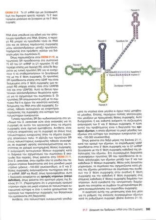 . To U1 snRNA 6Xet pLo (euYoptlp6vrl
5opri nou di'lptoupyer oprer6g neptoXeq. To 5' orpo
iopo;t6vel povortrovo xot (euyoptivet pe rqv 5' Otlot1
u ppoQIlq.
RNA e(vot uneU0uvo yto etdtrrl yto qv otrr1-
LouX(o np6o6eoq mo RNA. En(or1q, n flepto-
Xrl RS ;rnope( vo npoo6e0e( t6oo oe RNA
6oo xot oe dMoug nop6yoweg oupporprlq
prSoo otrrlLenr6pdoeov preto(ti npotetv6v,
nop6lowoq 6tot np6o0etrl ur6Mo" yro 6td-
rpopo p5p4 tou oupnl'6rou E.
'Onog nopouotd(erot orrlv EIK0NA 21.10, ot
npu:tefveq SR npoo66vowot oro ouororx6
70 kD rou U1 snRNP (r1 Ul np<otetvq 70 kD
neprsXet en(or1g prto neptoXrl RS, ol d 6e Oeo-
pefuor rog runu<r1 npcotetvq SR) yro vo evtg4ti-
oouv rl vo oroOeponot{oouv to (euydpogd
'rnq Ue rrlv 5' 05or1 oupporpqq. Ot npcotetveg
SR npooS6vowot enbqg ornv U2AF nou efuot
6eopreupr5vq ornv 3' 06o11 ouppotpr]g (pto ne-
proXq RS undpXet entonq t6oo qrnv U2AF65
6oo rot orlv U2AF35). Autd ro 6(rruo npto-
rcivrrdlv oMrllentdpdoecov 0eolporiwot rp(ot-
Uq yro ro oxrlpqrtopr6 rou oupntr6rou E. Ot
npoteiVeq SR onopovdrvowot pro(( pe to o6pr-
nloro Pol Il t<t 6Xouv rqv rov6rrpo xrvrltu<tig
65o1-reuoqg tou RNA ornv o66 ouppotprlg. Iu-
vencig, nt0ov6v l.eroupyofv cog evoprcrrlptot
nopdyoweg rnq ouppoqriq oto rfrropo ttov
notrur<Urropolv euroPuotd:v.
nepLoxn B ^A^ HH JY
IbrfiD
$B-H$'
ffiH
HF.B
s&E
npoooeontrsf.
t&ftKg
#"#
"g
sfry
ocu
ccu'oii
uuo cuGAccc
"
rFffi ,,^^*'
% r rnc
c un u
u"
oooo"oo oot^
EETiS:l
AC
^dAdcouccA u u cA u ApppGme 5'
c E s'E[rr]vto GU A A GU A lvrPovto 3'
cG I
UA I
UG I
UA I
, H ZeuYdptouu tvtPov(ou
GC
GC
nu'oru
Tunu<5q npcoretveq SR 6ev rco6tronotofwot sro Yo-
vt6(orpto tou S. cerevisiae o0te e(vqt ovoyr<o(eg Yto rn
ouppogrl oe ow6v rov opYovtopr6 6nou ro origoto
ouppo<pr1q e(vot oXelrd opretdBtrrlto' Aw(Oeto, e(vot
on6Luto onopo(tqteq Yto rn ouppoqrl oe 6).oug toug
notruxfrropoug europucireg 6nou to or]proto ouppo-
griq onoxL[vouv notr0. H e(5].t[4 tov npu:teivriv SR
oroug notruxrirropoug europutiteg nt0ov6v ouvetorp5-
per oe ouppoErl uUnInS onotel'eopotr6tqrog Kot nt-
m6tqtog oe Xol.opd ouwrlpqpSveg 06oerq ouppotp4g'
H ovoyvrirptorl tretroupytr<drv 06oeov ouppoEriq r<otd
rq dtdpr<eto rou oxrlporl.opo6 tou oupntr6rou E qxo-
)rou0ei 66o nope(eg, 5nog <po(verot orrlv EIKONA 21'11'
Erov S. cerevisiae,6nou oXe66v 6Lq to yov(6to nou ne-
pdXouv twp6vto 6tox6mowot on6 6vo provo6tr6 pxp6
rwp6vto (prlroug -100-300 vouxtreond(rov), or 5' rot 3'
O5oetg ouppqgnq ovoyvop((owot tout5lpovo on6 to
Ut snnNp, BBP rot Mud2, 6n<oq npoovorp5pO4r<e' Auti
q 6repyoo(o ovoq6petot oq oprop6g Iwpovitov (lntron
definition), 6ncog <gofvetot oro optorep6 pdpoq qg Et-
x6vog 21.11. (l-lopoqprlore 6tt o prqXovropr6q optogoti
rwpov[tov toXUet yto prtrpd rwp6vto oe nol'ur6rrqpo eu-
ropuo:ru<d r<rirropo rt 6tot q etx6vo lpqorpronote( r4v
opol.oy(o rov nopoy6wtov ouppoqdg tcov 04).oortr<drv
nou egntrSrowot srrl 6tePYoo(o).
Aw(0eto, mq notruK0rropo euKopucottx6 yovt6ttil-
AAoo"oa'
nePoXn n
poro ro twp6vto e(vot preydtro n 61ouv nol'0 getoBl'r1-
16 p6ye0oq. En(or1g, nepr5Xouv noM6g ol'I'r1}'ou1(eg
nou pot6(ouv Ue npoYportxdg Odoetq oupporprlq' Aur6
duoXepo(vet ri rot r<oOtmd ov6qtrtq q ou(euy;r6vr1
ovoyvtirptorl rov 5' t<ot 3' 06oeov ouppogriq. H )'Uorl
owori tou npoBldpotog e(vor 11 dtepyoo(o rou opl-
opof e(oviov, 11 ono(o o(tonote( to ;uxp6 p5yeOoq tcov
eiov(ov oro rcittopo tcov ovrilteprov europutrltcirv (pui-
rog - 1 00-300 voux).eot(6to).
'Ontog cpo(vetor oT o 6e(t6 p6pog qq Erx6vog 2'l ' 1 1,
xotd tov oprog6 tov efcov(ov, to etepo6tptep6g U2AF
npoo6Svetot orrlv 3' 05oq oupporpdg xotto U1 snRNP
(euyopcirvet pe rnv 5' 06oq oupporprlq ro0o6tr6 qg oi'-
l,rllou{og rou e(tov(ou. Ir1 ouyxerptp6vrl 6tepyoo(o
ouverog6pouv nptotetveg SR nou npoo66vowot oe et-
6u<5g oMqlouX(eg tov e[tov(tov preto[rj rcov 3' Kctt rov
xo0o6xrilv 5' 05oerov oupporpriq. M5ool ev6g dyvtrlorou
prrlXovropoti, ro oUpmtroro nou oXrlprotf(owot r<otd grl-
xog tou e[ov(ou peton(mouv oo oUpntror<o nou ouv65-
ouv rrlv 3' 06o11 ouppoqriq otrlv ovo6trri 5' 06o4
ouppogrlq Kot rrlv roOodtr<r1 5' 06o4 ouppoqrlq ottg
en6lreveg ro0o6tr<5q 3' 06oerg ouppoqrlg 6top6oou rolv
twpov(tov. Aw6 eyro0tord tqv uenttpemtr{" 6rqp6p-
qoorl nou enup5net vo ouptBotiv to peroyevSorepo Bn-
Uoro ouvopUoL6yrloqg rou oto gon6(ou ou ppoqf g'
H ovooro)rri ourlg qg ;retdmoorlg e(vot 5vo p6oo
yro rn pU0prto4 qg enrloyriq ouYKeKptgdvtr:v e(tov(tov
rord tr1 pu0g(6prevq oupporprl (B).6ne Ev6t4ru 21'13)'
3'1"? A6oueusn rou [lp66poUou mRNA otlv 066 ttnpoqrts 5S
lleproxn C
 