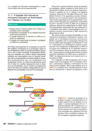 rov o opLep6q rov 6uvrlnKov unoorpoprdtcov), or npo-
re'iveg 6nor(ov 6Lo r<ot Trro orlpowrK6 p6Lo,
21.11 H luppogli eivor XpovrKd Ko!
Aetroupyrrd Eu(euypdyn p€ tloAAd Bfiporo
ornv'Ergpoon Tov fovr6iov
o IuppoQrl gnope[ vo npoyporonoul0ef rord rr1 dtdprero u1g
petoypoqrlg d pero q peroypoqrl.
. 0t unxovrouo(qg peroyporpfig ror qq oupporpnq e[vor guoxd
xor treuoupyrd evonorrlp6vor.
o H ouppoQtl ouvd6eror ge qv e[oytrlyrl tou mRNA Kor rov
dtreyxo rnq moOepdqrog.
r H ouppoQn orov nup4vo pnope( vo enqpedoer q perdqpoorl
rou mRNA oro xurrop6n),oopo.
An6 xop6 ovoyvrop[orqre 6tt q ouppo<prj rou pre-mR-
NA ouprBo[ver row6lpovo Ue rn lreroypo<pri, nop6rr or
6uo owt6p6oerg prnope( vcr Trpoypqronorrl0o0v [elcopr-
oro, in vitro ru 5Xouv peLerrlOe( og (eXo:ptorSg 6repyo-
o(eg crrqv 5r<gpooq r<ov yovr6(cov. Kripteg nepopcnu<69
ev6ef(erg nou unoornp(ouv our6 to yeyov6g npoq].-
Oqv on6 rrq flopcnnp{oetg 6tr notrtrd oupBdwo ouppq-
gqg oLoxLqprivovror nprv rrlv o).orl,rlptr:on rnq
peroypogrlq. l-evrrd, ro rwp6vro nou Bp(orowfl xowd
oro 5' dxpo rou yovr6(ou oEorporiwor rord q Srdp-
Kero rrlq peroypoqrlg, evd: to rwp6vro nou Bp(oxowor
xowd oto 16l,o9 rou yovrS(ou ene[epyd(owot xord rr';
drdprero rrlg preroypoqrlg 11 r<or prerd q pretoypogrj.
Ercr6g on6 q Xpovxri o6(eu[r1 prero(ri peroypotp4g
xot ouppogrjg, nt0ov6v undplouv rt dll.or L6yor yro rq
tremoupyu<q oUvdeorl outcbv rov Boou<tilv Stepyooui:v.
'Owoq, ot prlXovSg yro rnv 5'- rdAuQrl, qv oqo(peoq
rwpovirov, or<6pro Kor rnv noluo6evuL(toorl oro 3' drpo
(BL6ns Ev6trya 21.16) ep<pov((ouv rpuotr5q oMrl).ent-
dpdoerg Ue rrlv r<evrpu<r1 pnxovn r4g peroyporprlq.
'Evog r<ow6g prqXovtotrr6g efuor vq Xprlorponororiv 14 pe-
yd).q C-reLu<q neptoplg qg peyotrrjrepqg unopovd6og
rqg Pol Il (yvoorrl og CTD) rog 06o4 yro ro <p6prco1-ro
6rdgopulv nopoy6wrov ene(epyoo[og tou RNA, nop6rr
orrg neptoo6repeg neptmdloerg 6ev 6Xet ro0optore( ov
r; np6odeorl e(vor d;ieoq 11 dropeool,oBekor on6 opr-
opr6voug rorvo6g npcoreivrxoiq i RNA nopdyoweg
(BL6ne Ev6trya 20.8).
Mro r6roro rpuou<rl evono(qor1 droo<potr(er rrlv ono-
tel,eoprotxrl ovoyvcirproq ovo6u6pevov o4 prdttov oup
poeiq yro ro (euydptopo yetrovrrciv l.enoupyrxri:v
06oeov ouppo<p{q xord 14 ;reroypo<ptj, 6torqp6wog
6ro1 1.uo o6prl oepd ouppog4g oe rore60uvoq 5'npog
3'. H ovoyvcOprorl rov ovo6u5pevov oqprdrcov ouppo-
tp4g on6 roug nopdyoweg ene[epyoo[og rou RNA ror
ro 5v(upro nou ouv66owqr pe ro oriprntroro enrpqruv-
orlg Pol ll enup6nouv en(or1g oe ourorig roug nopdyov-
req v' owoyovroroUv onoreLeoporxd dMeg prq er6xdg
nponelVeg np6odeo4g oro RNA, 6nog or npoter'veg h-
nRNP, nou Bp(or<owor nowof orov nuprlvo yro rrl ou-
oreuqo(o rou RNA.
Av 4 ouppoEri tou RNA encogel,e[ror on6 q pero-
ypoqn, ytot( vo prrl ou;rBower ror to ow(orpogo; l-1pdy-
1.rorr, ou(ov5;reveg ev6e([erg unomrlp((ouv 6rr rdrr
r6roro 6wtog ouprBoiver. 'Oncog nopouord(eror qrnv EI-
K0NA 21.17, ro 6v(upro qg 5' rdlur,l.rrlq rpo(veror 6l Boq-
OoUv vo [enepome( n opXrxri UeroypoerKq nofor1
: .',,:. ... I Iu(eu[1 rrlq peroypotprlq [0 r-.
ovridpoorl 5' Kotrurflq. H UeroypoQn p5oo q-q P:
ll opXrro oroporo rovro oqv oqerqplo Tlq Usrc-
ypoqrlq. H youovutro-rpovoqepoorl (GT) rot q -
pe0utrorpovorpepool (MT) enrorporeuovror o :
o0pntroro rqq Pol ll yro vo rorotruoouv q 61proi"--
yio luog xotrunrpog oro 5' oxpo rou veooXlpori.:-
pevou peroypotpou onou npood6verot 6vo etDii:
oupntroro. Aur6g or ovrr6pooerq enupenouv o:-.
Pol ll vo nepooer oe nopoyr,lyrrl enrprlruvol,
600 KE0MA|O 21 lupporp1 rr Ene[epyoo(o rou RNA
Boorxeg 6wong
 