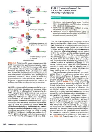 Anetreu06poor1 prpootogor[ou ond
ro npoopo xrodrrovro repgolo;rorj
EJC
; Entmpdreuorl ev(upou ogo(peor1
+ Trlq Kotrt1flTpoq
Ano66pr1or1 rou mRNA
EI(0NA 21.20 To o[UntroKo EJC ouvd6erq ouppogn Ue Tnv NMD.
To EJC enrmpoTeuer ettionq rporefveq Upr ov nopoge(ver oro s[o-
ydpevo mRNA. Merd qv eqoyoyn ono rov rupnvo, ro EJC np6ner
v' onogorpuvOef U6oo Tou UeToKrvougevou prpootogor(ou orov
flpdlro yupo qg perorppoqq. Av 6v0 EJC nopogeiveL mo mRNA
trdyo rqg nopouo(og evdg npdopou rtodrxovfou repponoporj, ro
onofo onetreuOep6ver ro prpoorrlpdlo, ro EJC 0o enrorporeUoer
enmpdoOereg npoTetveq, rt.X. rr1v Upf, or onofeg pe q oepo toug
0o enrorporet1oouv ro 6v(upo ogoipeoqg qg xotrunrpoq (DCp).
Aurd endyeL qv onopdrpuvoq qq xotrunrpog mo 5' drpo xor n1v
onoddprpoq rou mRNA oe roreu0uvorl 5'-3' mo runop6doogo.
oo10e( 6vo np6opo rrodx6vro repporroproU e[or(og oq-
perorqg perdMo[4q 11 evoMorcnruiq ouppogrlg (BI6ne
Ev6tryta 21.12), to prBoo'<o;rdrro 0' onoonoqre( on6ro
mRNA erpoye(o nporof <prdoer oro xovovx6 rto6rr6vro
repporropro0, ro ono[o ouvrl0og Bp(oreror oro ts^.eu-
rofo e(c0vro. H o6uvopr(o rou prBoo<o1.ror[ou v' onoB6.tret
ro ofpnloxo EJC nou Bp(oxeror gerd ro np5opo xo6r-
x6vto repporroproU enrp6ner vo enrorporeu0orjv 6v(upro
nou orpoporiv rqv xoLUmpo, endyowog roXe(o ono66-
pnon rou mRNA. Aurn n 6repyoo(o rolefuor g0op6 rou
mRNA 6ropeootropo0pev4 on6 oouv0enx6q pl6Beg
(nonsense-mediated mRNA decay, NMD). Awrnpooro-
ne0er dvo prqlovrop6 enmrlprlorlg rou mRNA o ono(og
onorpdna q perdrppooq roloBtirv npu:reivdrv on6 mR-
NA nou rp6per rivo np6trrpo rodx6vro tepprorroprori. H
NMD 0o nopouoroore( tremoprepc0g atlv Evotrpa 22.g.
21.12 H EvoAAomtKr{ Euppoeri Elvor
Kov6voq, Oxr E[oipeon, oTouq
lloAur0rropouq EuKopu6Teq
* Erdrro e[tirvro 11 otrtrr1trouX(eg e[trlv(ov gnope[ v' onoxtrs .
orouv r1 vo ougnepilrltp0ouv oro mRNA npoiovro Xprlorpot .: -
tilvrog evotrtrorlreq 0eoerg ouppoQ1q
* H evoLl,orlrl ouppoqn ouverorp6pet oq dopxrl rqr ),euo::-
yrrrl norrr),[o rov npoiovrov rov yovr6(rov.
s 0 xoOoprogdg rou tprltrou oq Drosophila nepd,oppdvaL ;.:
oepo oulrBovrov evotrtrorrtxrlg oupporpqg oe yovldro nou r:-
6uonorouv dLodoXrro npoiovro proq odo0.
Orov 6vo 6Lorer<oprprSvo yov(6to ;retoypoge( o' dvo F-
NA nou ono6(deL 5vo provo6u<6 tUno ouppoll;rdvou r-
RNA, 6ev undpler oodgero orrlv ovoyvtiproq rc,
e[,orv(ov Kol rov rwpov(rov. To RNA rov neproodrepa.
yovr6(ov, toor6oo, or<olou0oUv np6runo evoA,lorrr.
x{g oupporp{q (alternative spticing), q ono(o oup_rBc..
ver 6rov 6vo ;rovo6u<6 yov(6ro ono6(deL neptoodrepe:
on6 pLo otri.ql.ou1(eg mRNA. Me ng tey3rLr5g rnq cD:
x).rovono(qoqg peydqg xi.(proxog Kor rnq oMq).oLJX-
oq, Syrve oogdg 6tr ndvo on6 ro g0% trov yovr6il-,
nou erqpd(owor oro O4looru<d ouppdmowor evci.-
Aornr<d. Iuvenog, 11 evoMornrrl oupporp4 6ev eii,c.
on).c69 ro onotS,l.eo;ro LoOri:v nou npoyporoflora -
Unxovn ouppo<pr1q oMd pr6pog rou npoypd;r[-loroQ gr-
epoolq rov yovr6(ov nou o64ye( oe noMon).d yo,;.
6rord npoi6wo ond rov (6ro yeveru<6 r6no.
YndpXouv drd<popot rUnor evoMor<nxr1g ouppogr :
peto(0 d).).rr;v 11 ouyr<pdrr1o4 rwpovirrtv (intron rete^-
tion), r; enil,oyq evotr,orcrtrrrlv 5' 06oeotv ouppogrlc *
6wo(q r1 nopdLerrpq e(olv(rov (exon inclusion or sk c-
ping) ror 4 oporBo(o onor<).er6gew1 enil.oyr1 totv evoMc.
t<ttt<tr.lv e[olv(ov t::]i;...,:;,i :r r ',, To (6to npoToyeve i
gerdyporpo ;rnope( vo unoore( nepLoo6tepoug ond dvc,
rUnoug evoMorcrrr<r1g ouppoqrlg. T' o;rotBo(o onox,,e..
6pevo e(trrvro r<ovovrrd pu0pr((owoL ge roro-er6rx6 rpc-
no. Meprrdg eop5q, oe ourrlv rqv nolunLor6rq::
npoor(Oetor to refur6 np6runo 5r<ppoorlg TroU KorcUgc.-
vetoL on6 rn Xpnon 6rogopetrrcov orlpre(rov 5vop(qg r:
geroypogr;g 11 qv nopoyrrtyq evotr),orcru<ov 3', dr<po.lv
H evoMomLrq ouppo<pr1 prnope( vo enrlpedoer r",
6r<rppoorl rov yovr6(otv pre 6Uo rou).d1rorov rp6noug, C
Svog e(voL q 6r1;rroupy(o 6optrrlg norxL).(og oro npoic,-
ro rov yovr6(o.lv oupnepil.oprBdvowog r1 nopotre(no.-
rog optop6veg rodrr<onorqrrr<d,g o).).r1Lou1(eq -
6lprroupyrrtwog evoLLomrxd nLo(oro ovdyvororlg v,:
5vo rprrlpo rou yovr6(ou. Aur6 ouXvd rpononore( q ),e.-
roupyrxq rdr6qto trlv r<rr.ldrronoroUpevov nporeivo,
FLo nopd6etypo, ro yov(6ro CaMKlld nepr6,1er rp(o eE.-
vro nou ouppdnrovtot evq^.^.oKtLxd, 6nrog <po(ver:
oTllv rr
':i.l .i ,l- ,.,'. TO yOv(6tO er<rppd(erOt oe 6).Oug o1:.
cap
Ptpooopdlo
EJC
I
cap
602 KEOA AI0 21 Iupporpn rr Ene{epyooio rou RNA
llprirtog y0pog gerdqpoolg
Boolxeq evvoreg
EJC
I
 