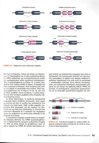 KorqKpoTnorl rvTpov(ov
Evotrtrorrudg 3' 06oeLg ouppoQnq
'Evroqr/ropdtrerq,1 e[tovltov
:lK0NA 21,21 Arorpoperlro(rUror rvotrtroKTrKr1g ouppotpqg.
1:.' roug xurtoprro[g r0noug r<ot toro[g rrrlv Oq].oon-
. *, Av nopo).er<p0otiv Kor ro rp(o evoMorrrr<d e[utvro,
-: rRNA xro6xonore[ Uro Kurropon].ool-torrrrl rrvdorl
-:, eooeopulr<r.lveL nol d nporeivtrd unoorpo.lproro.
3 :,,, oupnepd.oprBdveror ro eqovro 14, q r<rvdorl prero-
:.:.ror orov nuprlvo eneL6q ro e(utvro 14 neptdlet 6vo
l-*o nupnvrKoU ewonroproU. Aw6 ennp5ner orqv rrvd-
- .: pu0p((el rrl peroypotprl orov nuprlvo. Otov ou1-r-
-.:.,ogBovowor Kor to eforvro 15 r<or 16, r<drt nou
- - ,r0cog ouprBo(ver oroug veupoveg, q r<rvdon Koreu-
i, , i:or orrlv Kurroprrq pepBpdvq dnou enqped(er er6r'
.:-c Sro0Loug r6wrov.
Ie d).i.eg neptnriooerg, ro npoi6wo evoMoxrrr<r1g
:-:cog(q 6,1ouv ow(Oereg ).etroupy[eg. Aur6 toX[er
:-:.omtrd yro 6).o ro yov(6ro nou epnlSrowor orn
:-:-Lot1 rqg on6mooqg. Kdoe yov(6ro er<<ppd(et tou-
' l,..croV 60o roopropg6q, pto nou npodyer rrlv on6-
*ol.l Kor. pto dMq nou npoorore6er ro rdrropo ond
''-::roJorl. Oeropefuor 6l 11 ovoLoy(o rrrtv toopop<pritv
-, . rv rov puopumo.rv qg on6mioorlg xooopi(er ov 0o
. -.3r:rroeL to r<Urropo.
-'J evoMorcrrxrl ouppogn prnope( en(oqg vo enrlped-
::. Srdcpopeg rdL6-rrlreg rou mRNA ouprnepil.opBdvov-
-:: q nopoLe(nowog optopdvo puOprmrrd orotle[o
-:- RNA ro ono(o prnope( vo pretoBd).).ouv no).U ro
, ::vo q;-u(orqg rou mRNA. Ie noM6g neptmoroerg, xri-
prog oron6g qg evoMor,rx{g ouppogrlq (ocog e(vor vo
e[ovoyrdoer 6vo ouyrerprp6vo noooor6 rov nporoye-
vriv preroyp6gov vo gdpouv 6vo np6opo xro6u<6vro 11
rcodrr6vro tepgortoprori Sror rilore ourd ro gerdypogo
v' ono6oprlOoriv yprlyopo. Aw6 nr0qv6v owrnpooo-
neUer pro evotrl,or,rrrrl orporqyu<r1 preroypogrrqq p6e-
Utonq yro rov 6).eyXo qg orpOov(og erdrrciv mRNA oro
rUrropo. O ouyxexprl.uivog prqlovrog6g Xpqorpronoe(-
rqt yto vo enneulOe( oporoororu<r1 5r<gpoorl yro nol-
----*-":iffirg:-T'
6A ryryffi + rrdxsuon orn ueuopdvn
dB*M@,r
6c wffi
Evotrtrorlrrl ouppotpn rou yovrdlou CalVlKll: 0Lo-
qopertro evotrl,orlro e[tlvto roreu0uvouv Trlv rLvool oe 6rorpo-
penro rurroprro Dropep(oporo.
----+- IT6xeuorl orov nupqvo
+ Evr6nro4 oro xunopdn),oogro
?1.J4 H Evotrtrorrtrl Iuppoqn E(vot Kovovog,'OXr E(o(peo1 oroug [lotruxuncOC-a !-,::,--.: 603
17-
Agorpo(o onoxtreuigevo e[6vro
Evotrtrorlrdg 5' 06oerg ouppoqrlg Iuv6uoolrrl eniloyn eqoviov
Evotrtrorlxoq unouvnrnq/ouppoQn
Evotrtroxrrxrl noluoDevutr(oon/oupporprl
 