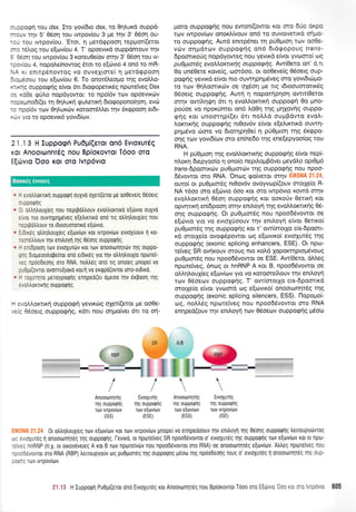 r-opoeq rou dsx. Ito yov(6to dsx, to Olluxd ouppd-
-3.rv rrlv 5'05or1 tou twpov(ou 3 pe qv 3' 05or1 ou-
-:- rou rwpov(ou. 'Etot, 11 pretdtppoorl teppror((etot
: o rel.oq tou e(orv(ou 4. T' opoevtxd ouppdmouv qv
: -:eoq rou rwpov(ou 3 r<oteuOe(ov m4v 3' Odoq tou tv-
--:,,'iou 4, nopotre(nowog dtot to e[iovto 4 on6 to mR-
',: Kr 0nrrp6novrog vq ouvexrote( 11 pietogpootl
I :leoou rou eforv[ou 6. To onot6].eopo rlq evoMo-
- .(ng ouppocp4g e(vor 6tt 6totpopettr6g npolre[veg Dsx
- : <iOe cp0lo nopdyowor.: ro npoidv ttov opoevtrtr.lv
- : : e uno6 [(er rr1 0r1].u xrl <pu].etu<r1 dtotpopono(4 or1, evot
-: :oor6v rc'rv 0rlLuro-lv xotoordMet qv dr<rppoorl eL6t-
. * . yro ro opoevtx6 yovt6[ulv.
2 t.l 3 H lupporprl Pu0pl(eror on6 EvtoxuTdq
ror AnooronnTCq nou BpioKovlot T60o oTo
E[6vro Ooo ror oTo lwp6vro
. - svotrtrorrtrut oupporpn ouxvo oxer((etoL pe ooOevefg 0eoetg
: - cporprlq
, l. otrtrntrouxteg nou neptpotrtrouv evotrtrorrlro e[(tvto ouXvo
..,,0r nro ouvrqprlpeveg e[etrtrrtro ono rtg otrtr1trouX(eg nou
.e cLpotrtrouv ro rdroouotottro e[titvto.
. l,SLxdq otrtrntroux(eq e[trlv[tov rot tvrpov[ov evtoX0ouv r1 ro-
-:retr),ouv t1v enLtroyq qg Oeolg ouppotpnq.
. ' en[Spoorl rov evroXur6v Kor Tov oTlootonrlrdtv rrlq ouppo-
:'q 6LoUeootrope(rot ono et6tr6g yto qv otrtrr1trouX[o nporel-
,:q npoodeonq oro RNA, notrtrdq on6 rtg ono[eg pnopel vo
:,3p[(ovior ovonru[roro ro/q vo exqpo(ovrot toro-et0xo.
' - rcxui1ro geroypoq1g eqpeo(eL dpeoo rrlv 6rpoo1 rnq
. , ctr,ortrrlq ouppotpflq.
- i,,oMorrrxq ouppo<prl yevtr<rilg olet((etot pe ooOe-
,.1 0eoerg ouppogrlg, rdtt nou orlpoivet 6rt to or1-
/
Uoro ouppoqrig nou ewon[(owot Kot oro 66o 6xpo
rrrlv twpov[tov onor.l.(vouv on6 ro ouvowerxd orl;re
ro ouppo<prlg. Aw6 entrp6net q pU0gtorl ttrlv oo0e-
vc0v orlprdrov ouppog4g on6 6td<popoug trans-
Epomrxorig nop6yoweq nou yevtrd e(vot yvooro[ og
pu0lttot6g eva&axtur1q ouppaEfig. Aw(Oetq on' 6,tt
0o un60ere xove[q, oo16oo, ot ooOeve(g O5oetq oup-
pognq yevxd e(vst nto ouwrlprlprdveq oro yovr6tripo-
ro rtrrv OqLoontrciv oe oX6oq pe rtg t6toouorottxdg
06oerq ouppoqrlg. Auq q nopotiprloq owtt(Oetqt
rrrlv owil.r1r[r1 6tr 11 evoMot<ctr( ouppoqrl 0o pno-
poUoe vo nporUmer on6 Ld0q r;g Unxovnq ouppo-
gr]g xor unootrlp((er 6tt noLLd ouptBdvto evoi.-
Lorcnr<qg oupporprjg nt0qv6v e(vot e(efurcrtx6 ouwrl-
prlpr6vo ciore vo dtoqpqOe( 11 pU0ptoq qg 6rrppo-
onq roJV yovr6(trlv mo en(ne6o rqg ene(epyooiog tou
RNA.
H priOptoq qg evoi.l,orcru<r1g ouppotprlq e(vor nep(-
nl,or4 6repyoo(o 11 ono(o nepil.opBdvet preydLo opr0;r6
frans-6poonrcirv puOpumcbv qg ouppogqg nou npoo-
66vowot oro RNA. 'Onrog rpo(vetot firlv EIKONA 21'24,
ouro( or pu0puor6g nt0ov6v ovoyvtop((ouv orotXe(o R-
NA r5oo oro e[cilvro 6oo rot oto twp6vto rowd or4v
evollorcnrf 06o11 ouppoqrlg r<ot qoxo6v Oettrti rot
opvqrurl en(6pooq orrlv entl,oyrltrlg evoLLorctrrlq 06-
onq ouppognq. Ot pu0gtor6g nou npoodSvowot oe
e[r6vro yro vo evtoXtioouv qv enil.oyrl e(vqt Oettro(
pu0pumSg rnq ouppoerlq r<ot t' ow(orotlo cis-6poort-
rd motXe(o ovoq6powor rog e(ovtro( evtoXutdg qg
ouppogqg (exonic splicing enhancers, ESE). Ot npcrt-
reiveg SR ovqrouv orouq nto r<oLd lopor,itrlptoprdvouq
puOptordg nou npoo66vowot oe ESE. Aw(0eto, dMeg
npcorefveg, 6nog or hnRNP A t<ot B, npoo6Svowot oe
oMqlouX(eq e[cov(tov yto vo Kffioore^ouv qv enAoyti
rcov 06oeolv ouppogrjq. T' ow(motXo cis-dpomtxd
morXe(o e(vor yvoud rrlg e[ovtxo( onootonqrSg qg
ouppo<priq (exonic splicing silencers, ESS). flopopo(-
og, notrLdg np<oreiVeg nou npoodSvowot mo RNA
enqped(ouv r4v enr).oyq ttov O5oe<ov ouppoEfq pSoto

Anoouonnrnq
qq ouppqQrig
rov twpov(tov
(tss)
EvLoyurrlq Anootonlrrlg EvtoXur1g
rnq oupp0Qrlq Tns ouppoQnq rnc ouppoqrlq
rov e[ovirrrv rov e[ulvttrtv lov tvTpovtov
(ESE) (ESS) (lSE)
0L otrtrntrouxLeq rov e[ovlrov xor rotv rvrpov[ov prnopel vo enlpeooouv rrlv eniloyrl qq 06olq ouppoQnq tretroupytirvroq
- . .,.qureg 1 onoouonqr6g r1q ouppoQrlq. levrro, or npolrelveg SR npood6vovrot o' evtoXur6g rt1q ouppoQnq rov e(ov[tlv Kot ot npu]-
', ..: rnRNP (n.X. or otroyevereg A xot B rorv nptureivdrv nou npooDevovTor 0T0 RNA) 0e onootonlrdg e[trlvttrtv. Atrtreg nporeiveg nou
- - - levovror oro RNA (RBP) treuoupyouv oq puOproreq rnq ouppoQqg peool qg npoobeolq Touq 0' evtoxuT6g 1 onootonlr6q rr1-q ouo-
,--: Toiv rvtpovltov.
/ 
?1.'13 H lupporp1 Pu0p(etor onrl EvroXur6g ror Anooronrltdg nou Bp(orovtot Tooo oro E[6vto'0oo xot mo lvrptivto 605
eworeg
 