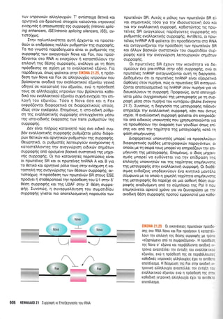 rov rwpovrKc0v oLLrlLouXrc6v. T' ow(ororXo 0errrd ror
opvqrrrd cis-6pomrxd ororle[o ro].orlwor twpovtxo[
evtoyutdq rl anooon4r6g qq ouppaEryg @tronic sptic-
ing enhancers, lSElintronic splicing sl/encers, /SS), ov-
rroro(Xcoq.
Ir4v nolunLor6qro outrj dplowor vo npoore-
0otiv or enr6pdoerg noMriv puOpuoroiv rqq ouppogrlg.
To nro yvcoord nopo6etyproro e(vor or pu0pum6g qg
ouppoqrlg rov orKoyevercriv Nova ror Fox, nou npoo-
66vowor mo RNA rr evrolriouv 11 r<oroordlAouv rnv
enAoy4 rrlg 05o49 ouppocprlg, ovdLoyo pre q 06oq
np6o6eorlg oe o16oq pe ro evol.Lorirrr6 e(civro. I-ro
nopdderypro, 6nog go(veror orrlv E|KONA 21.25,1np6o-
6eor1 rov Nova xor Fox oe oMql,oul(eg rwpov(<ov nou
Bp(or<owot ovo6rrd rou evoMorcru<ori e[ov(ou yevrrd
odqyei oe roromolq rou elcov(ou, evdr 4 np6o6eori
rouq or oMq).ou1(eg rwpov[ov nou Bp(or<owor Kq0o-
6u<d rou evotrl,orcnroU e[rov(ou ouXyd evroXriel rrlv enr-
l,oyri rou e[ov(ou. T6oo q Nova 6oo ror 11 Fox
ergpd(owor 6rogoperrrd oe 6rogoperrroUg rmoUg,
t6(tog orov eyr<5goLo. Enopdvrog, 4 roro-er6u<rl pU0pr-
on rnq evoMorrtrqg ouppogrig enmuyldvetor pr6oo
qg rmo-erdrrqg drgpoorlq rov trans puOptorcbv rqg
ouppog4g.
Aev e(vor nLripcrlg rorovo4r6 nrig 5vo erdrrd oupr-
Bdv evoMor,mu<qg ouppogqg pu0pr((eror pr6oo 6rdEo-
p<ov Oetrxcilv xor opwlru<riv puOpumtiv qg oupporprig.
Oeop4rrxd, or pu0ptar6g Lemoupyoriv evrolrlowog q
rqtomdLLowoq rnv ovoyvcilproq ardrrrirv oq prdrcov
ouppogrig on6 oproprdvo Boorrd ouororu<d rnq UnXo-
vqg ouppognq. Or nro Korqvorldg neprmcboerg e(vor
or nporeiveg SR xor or nporeiVeg hnRNA A r<or B yto
ro 0enx6 xor opvrltrxd p5tro toug or4v ev(o1uon ri xo-
toorolli u1g ovoyvrilprorlq rov O5,oeov ouppogqg, ov-
norofX<og. H np6obeo4 rov nporeivriv SR oroug ESE
npodyer 4 aroOeponore( qv np6odeoq rou U1 mqv 5'
05oq oupporpqg r<ot qg U2AF m4v 3' 06oq ouppo-
rprjq. Iuvenrirg, 4 ouvop;roL6yrloq rou oopoud(ou
ouppog{q y(vetot nro onore},eoprolxri nopouo(o rcov
npoteivcbv SR. Aurdg o p6Log-r<ov npcoreivdrv SR ei-
vor orlpowrK6g 16oo yio rnv r6rooumorrxrl 6oo xor
yro rrlv evoMorcu<f ouppogri, xo0rmriwog nq npo-
reiveg SR ovoyro(oug nopdyovreq ouppogrlg xcr
puOprmdg evoMorcrxrlg ouppogrlg. Aw(Oero, or npo-
reiveg hnRNP A/B go(veror 6n npoo66vowor o..ro RNA
Kor. owoyov(owor qv np6odeorl rov nporeivri:v SR
ror dLl.rov Boou<cilv oumotrrc0v rou oorpond(ou oup-
pogriq xord -rqv ovoyvc0ptorl ).etrou pyrrcbv orlpdtcov
ouppogqg.
Or npotetveg SR 61ouv trlv rxov6trlro vo 6e-
4reriouv 6vo pre-mRNA mqv o66 ouppogqg, evri or
nporretveq hnRNP owoyrov((owor our4 14 6repyoo[o.
Ae6oprdvou 6rr or nporciveg hnRNP e(vor e(orpetrrd
dgOoveg orov nup4vo, ncbg ot npotetveg SR owoycovi
(owor onoreleopotu<d ng hnRNP orov nupqvo yro vo
6reuroLtivouv rn ouppogrj; I-'lporpovcbg, our6 enmuyXd-
veror pr6,o<o ouyxcouoUoti r.1g preroypoqfq Ue rrl oup
porp{ ;16oo orov nuprlvo rou rurrdpou (BMne Ev|trlro
21.7). Zuvenrilq, q dtepyoo(o qg ;retoypogrlg nr0qv6v
eqped(et r1v evotrl,or,cu<4 ouppocprl, rdrr nou 6wcog
rqXUer. H evqMoKru(4 ouppoqri go(veror 6l enqped(e-
ror on6 et6roUg unor<rvqr6q nou Xprlorponororiwor yto
vo npoo0rloouv rnv dr<rppoorl rrov yovr6(rov 6nog en[-
onq Kor on6 trlv roXUr4ro rnq peroypqgrlg ro16 rr1
rpdoq enrprqr<uvonq.
Arogopenro( unorrvqrdg prnope[ vo npooe],rUouv
6rogopertrdq opd6eq preroyporpu<civ nopoy6wrov, or
ono(or pe n1 oerpd roug gnope( vo enqped(ouv rrlv eTrr-
p{r<uvoq rnq Ueroypog4g. EnoprSvog, o (6ro9 Unxovr-
opr6g prnope( vo euOriverqr yro rrlv en(6poon rqq
enil.oyrig unorrvrpriv Kor rnq roXriqrog enrpuixuvolg
rrlq Ueroypoqnq ornv evoMorcrxrl oupporp4. Or 6ro06-
orgeg ev6e([erg unoderrv[ouv 6vo xrv4ru<6 prow6]ro
oU;rqcr;vo pe ro ono[o n XoUnIf toXUqro ent;rrlxuvoqg
rnq peroypoqnq eo noperXe oe Uro oo0evrl 06o11 oup
poqrlq ovo6u6pev4 on6 ro oriprnlor<o r4g Pol ll nou
enrprlr6veror opxer6 1p5vo yro vo (euyoprioer Ue rrlv
ovo6rx4 06oq ouppogqg nporo6 etrrgovrore( pro r<o0o.
U'
.,r:r' j'.. '- - 0r orroydvereg npotreivdrv npoodl-
qq oT0 RNA Nova ror Fox npooyouv 1 roroorer-
trouv qv eniloyrl rrlg Oeor1q ouppotprlq ple rpo :
ue[oprdrUevo ono ro ouprppo(opevo,,. H npdode:-
qg Nova o' e(6vro ror neprpotrtrovro ovodrro .,-
rp6vro ovooretrtret rqv evro[q rou evotrtrorrLx:-
e[tov[ou, ev6 1 npoodeol qg oe neprpotrtrouc::
xo0odtr6g Lvrpovtreg otrtrqtrouXreq eXel ro ovrlOe :
onoretreopo, H ddopeuol rrlg Fox orqv ovodtxn ,.
rpovLrrl otrtr1trouX(o ovoorrltrtrer 11v evro(1 r: -
evotr),orrrroI e(orviou evto 1 npoodeorl qq o:- ,
ro0odrrq tvrpovrxrl otrtr1trouX(o 6Xer ro ovr[0E.:
onorel,eopo.
606 KEOA Al0 21 Iupporpq rr Ene[epyoo(o rou RNA
ry
 