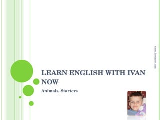 LEARN ENGLISH WITH IVAN NOW Animals, Starters www.lewinow.com 