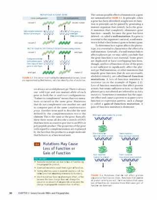 Lewins genes xi [pdf][tahir99] vrg | PDF