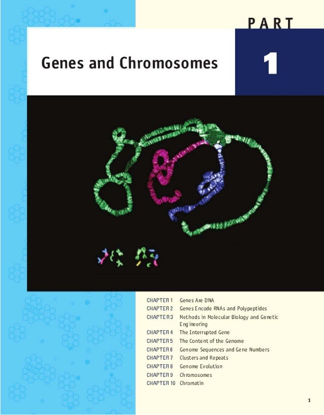 genetics for dummies pdf