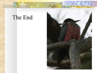 The End 