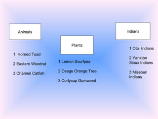 Animals Plants Indians 1  Horned Toad 2 Eastern Woodrat 3 Channel Catfish 1 Lemon Scurfpea 2 Osage Orange Tree 3 Curlycup Gumweed 1 Oto  Indians 2 Yankton Sioux Indians 3 Missouri Indians 