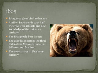  Sacagawea gives birth to her son
 April 7th
, Lewis sends back half
the crew with artifacts and new
knowledge of the unknown
territory
 The first grizzly bear is seen
 The expedition names the three
forks of the Missouri, Gallatin,
Jefferson and Madison
 The crew arrives in Shoshone
territory
 