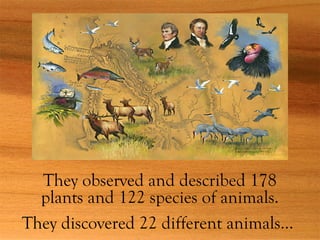 They observed and described 178
plants and 122 species of animals.
They discovered 22 different animals…
 