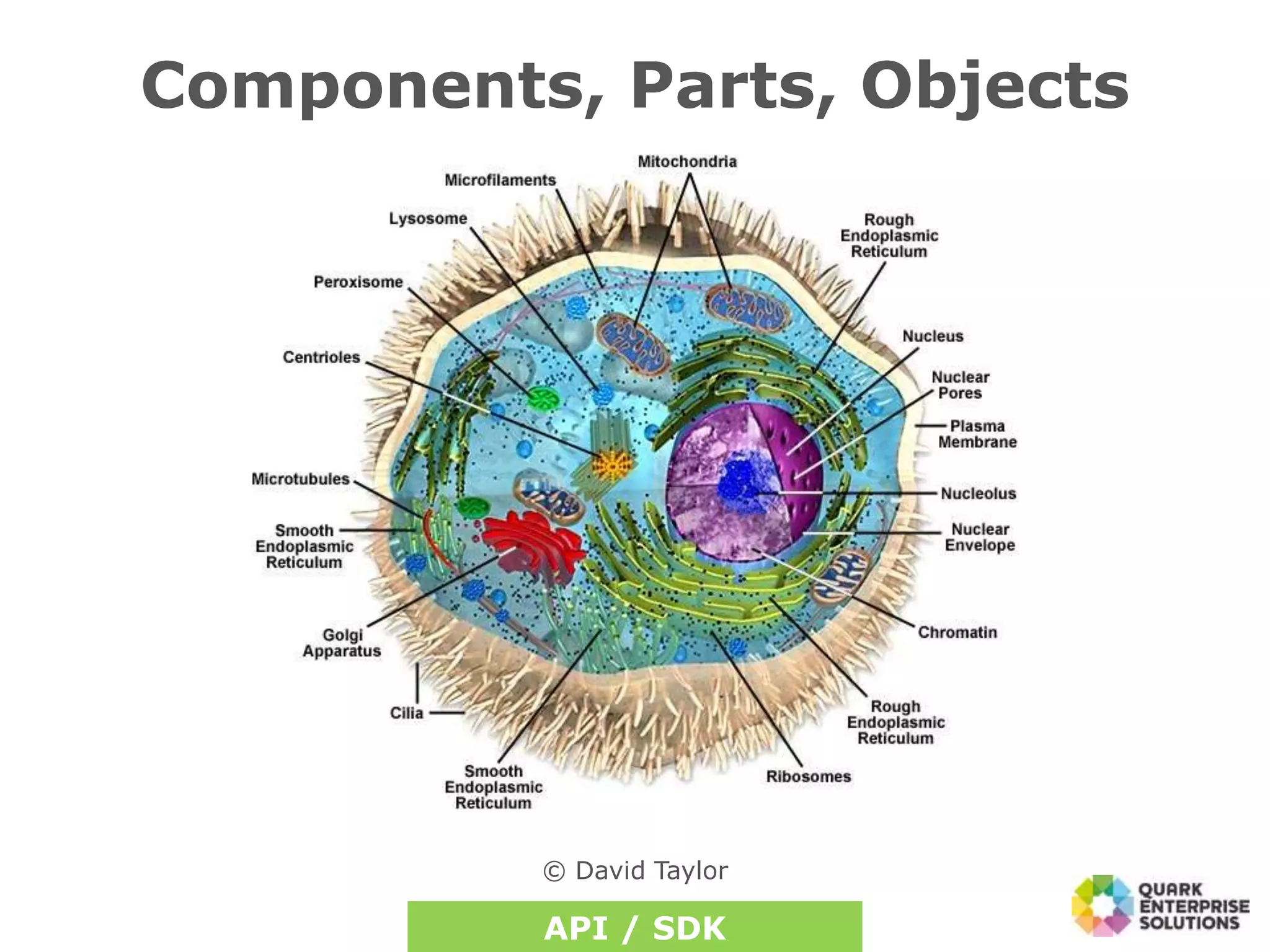 Components, Parts, Objects
© David Taylor
API / SDK
 