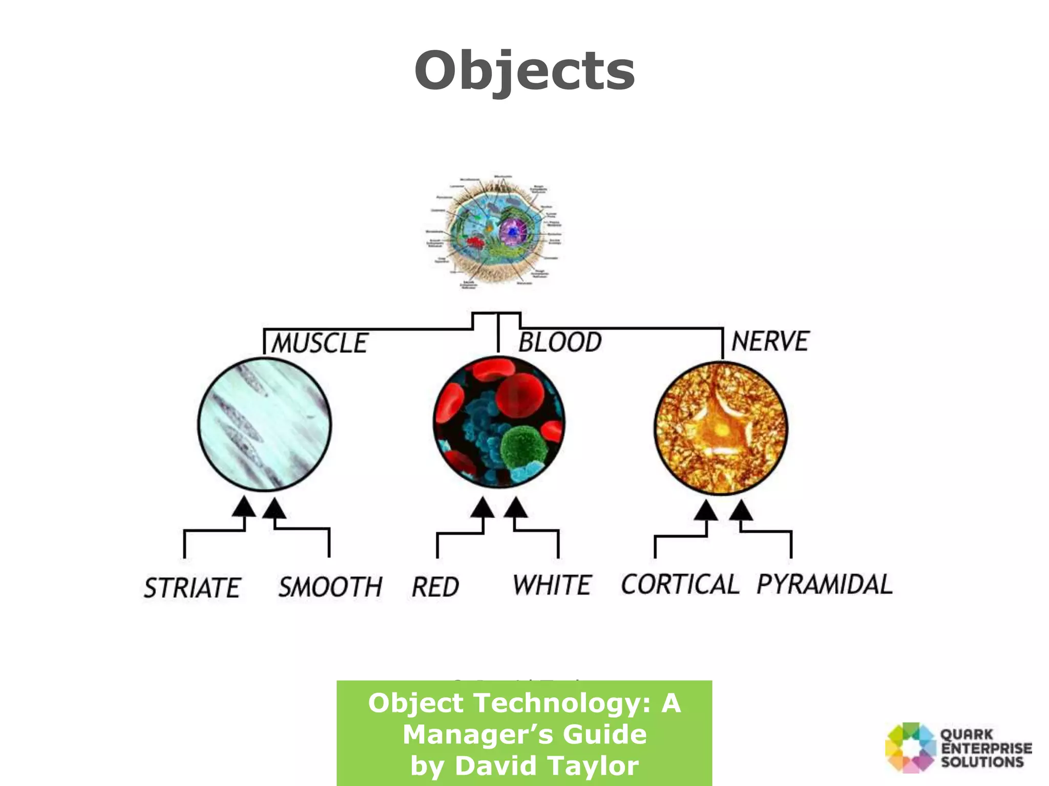Objects
© David Taylor
Object Technology: A
Manager’s Guide
by David Taylor
 