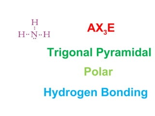 AX3E
Trigonal Pyramidal
Polar
Hydrogen Bonding
 