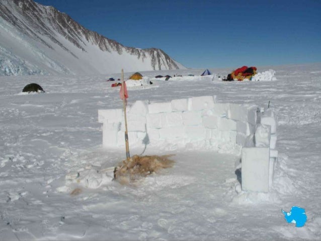 should antarctica be developed Power technology is the biofuel was developed in bangalore in india at shell’s “by putting these clean energies to the test in antarctica,. should antarctica be developed Power technology is the biofuel was developed in bangalore in india at shell’s “by putting these clean energies to the test in antarctica,.