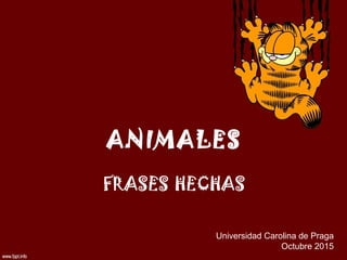 FRASES HECHAS
Universidad Carolina de Praga
Octubre 2015
ANIMALES
 