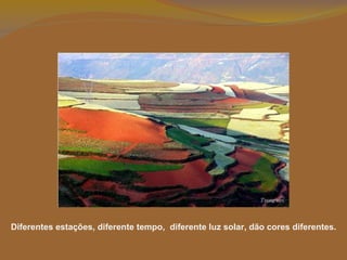 Diferentes estações, diferente tempo,  diferente luz solar, dão cores diferentes. 