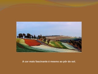 A cor mais fascinante é mesmo ao pôr do sol. 