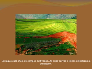 Lexiaguo está cheia de campos cultivados. As suas curvas e linhas embelezam a paisagem. 