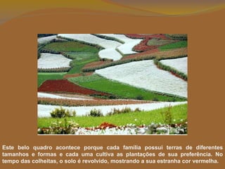 Este belo quadro acontece porque cada família possui terras de diferentes tamanhos e formas e cada uma cultiva as plantações de sua preferência. No tempo das colheitas, o solo é revolvido, mostrando a sua estranha cor vermelha. 
