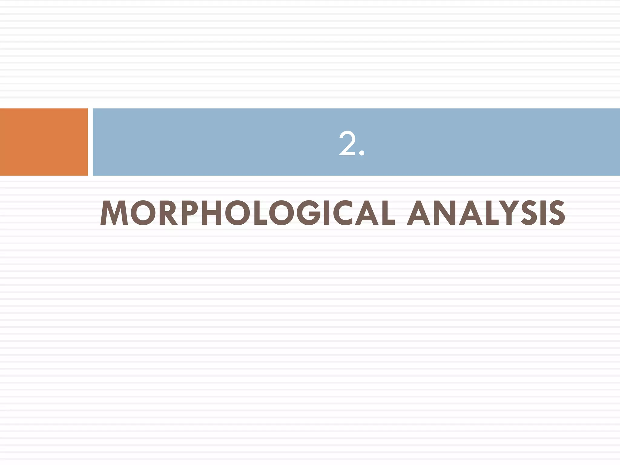 2.
MORPHOLOGICAL ANALYSIS
 