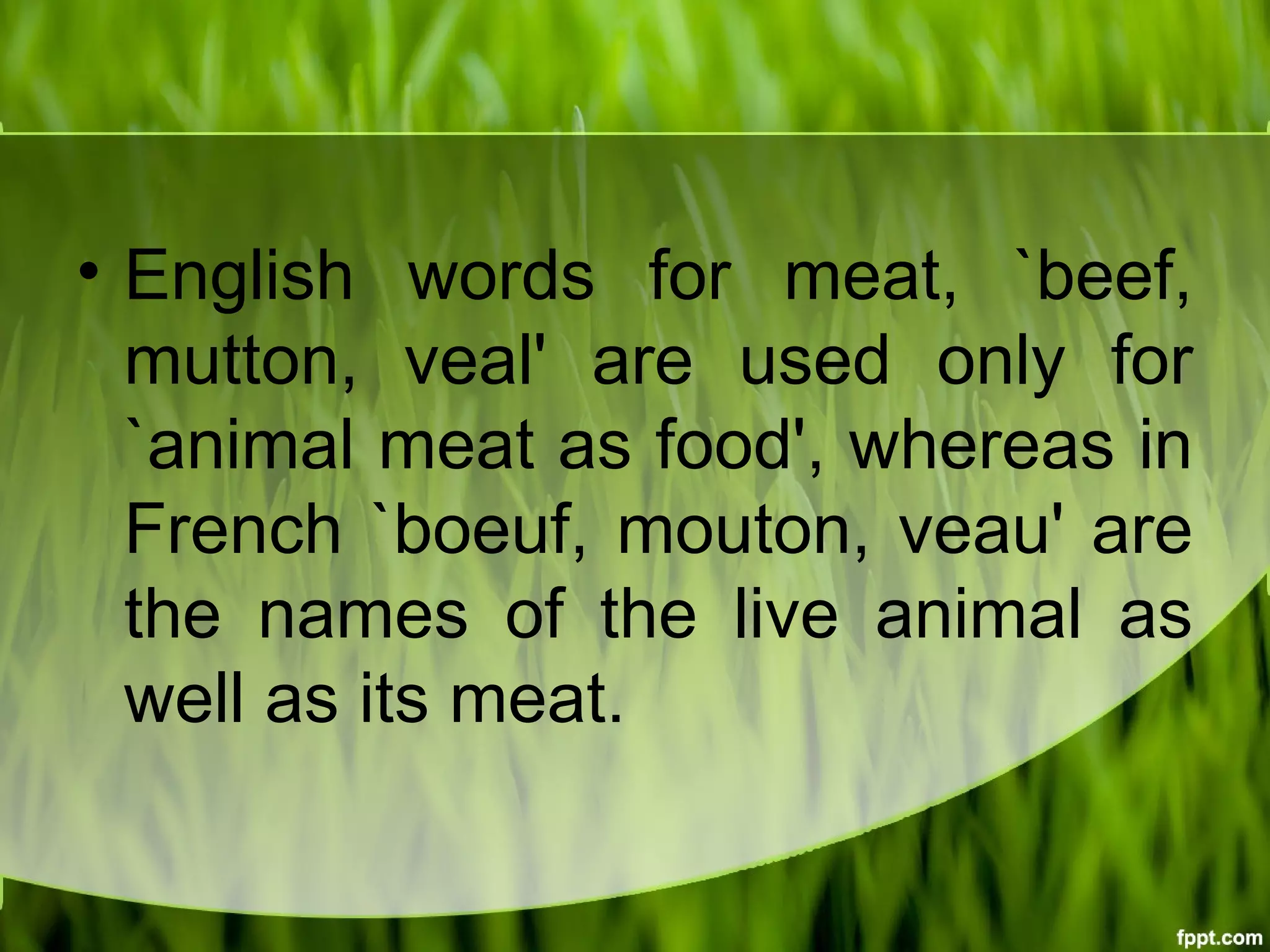• English words for meat, `beef,
mutton, veal' are used only for
`animal meat as food', whereas in
French `boeuf, mouton, veau' are
the names of the live animal as
well as its meat.
 