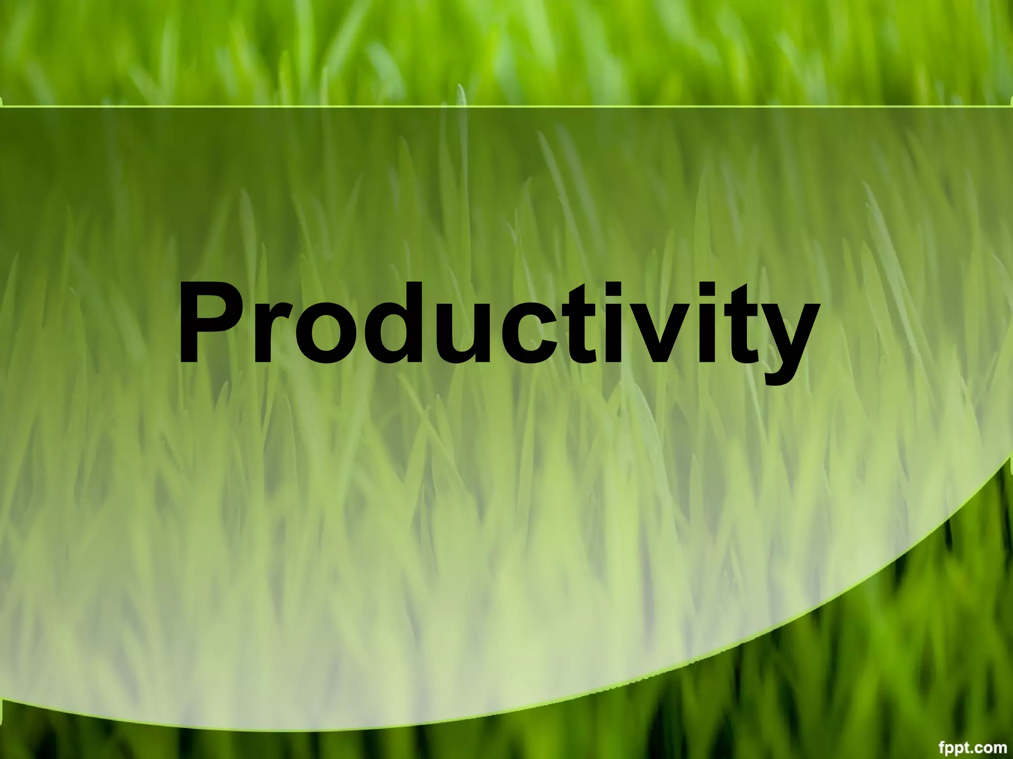 Productivity
 