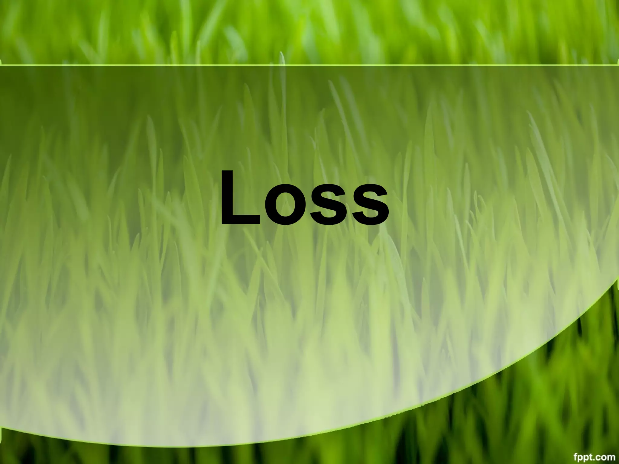 Loss
 