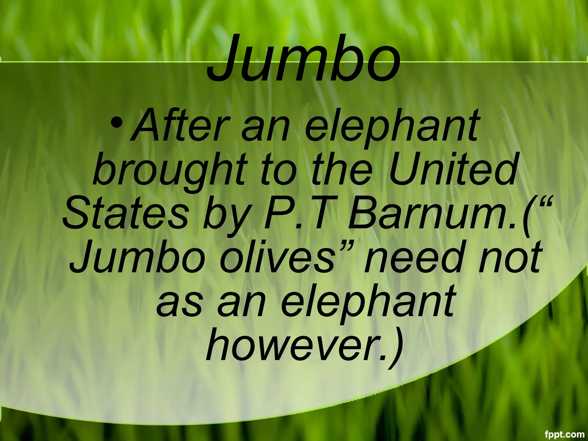 Jumbo
•After an elephant
brought to the United
States by P.T Barnum.(“
Jumbo olives” need not
as an elephant
however.)
 