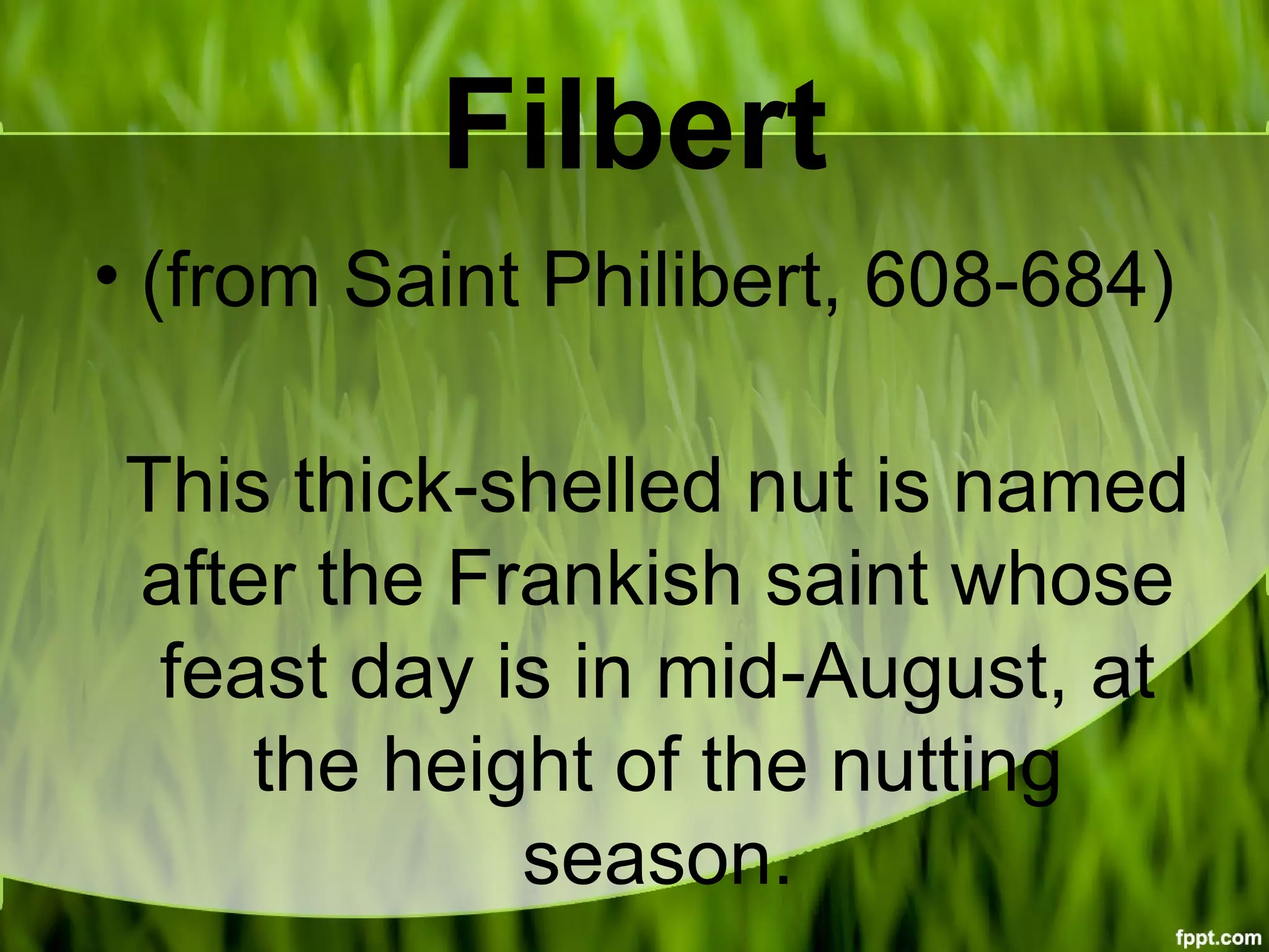 Filbert
• (from Saint Philibert, 608-684)
This thick-shelled nut is named
after the Frankish saint whose
feast day is in mid-August, at
the height of the nutting
season.
 
