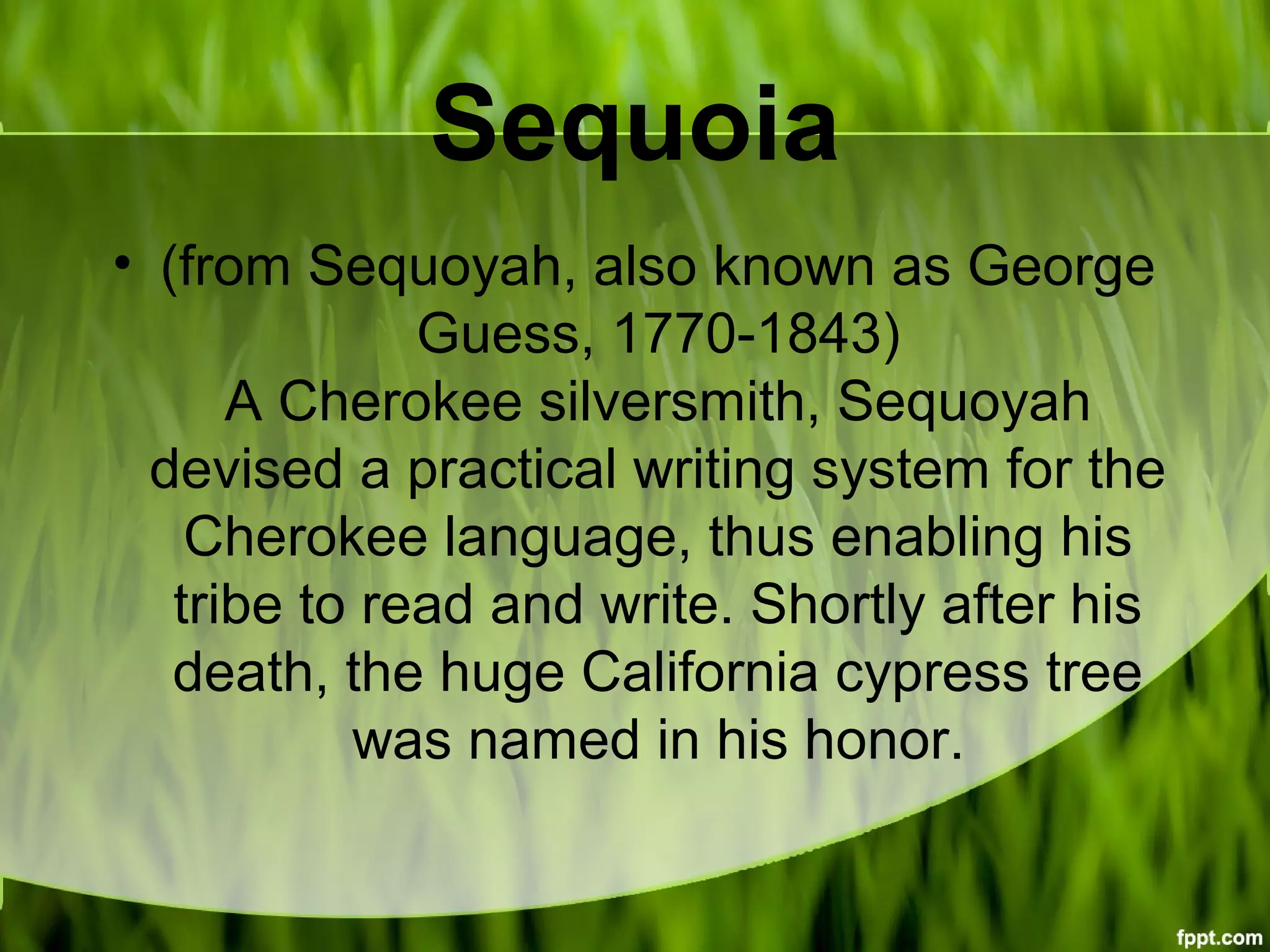 Sequoia
• (from Sequoyah, also known as George
Guess, 1770-1843)
A Cherokee silversmith, Sequoyah
devised a practical writing system for the
Cherokee language, thus enabling his
tribe to read and write. Shortly after his
death, the huge California cypress tree
was named in his honor.
 