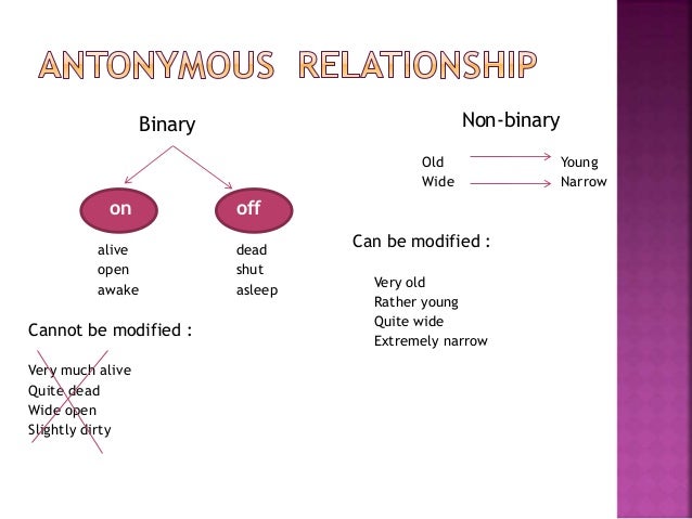 Types lexical relations pdf picture