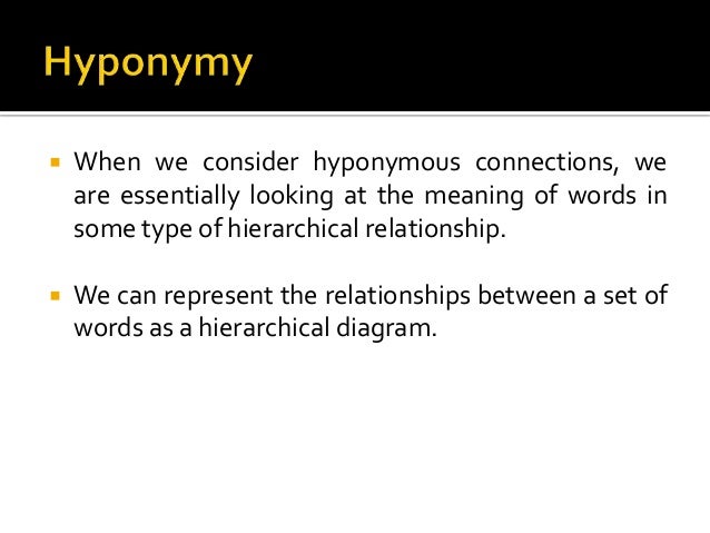 lexical relation definition and example