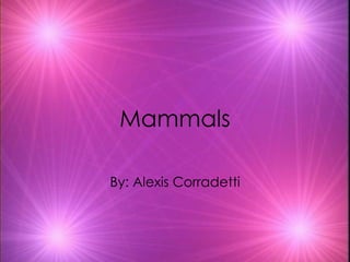 Mammals By: Alexis Corradetti 