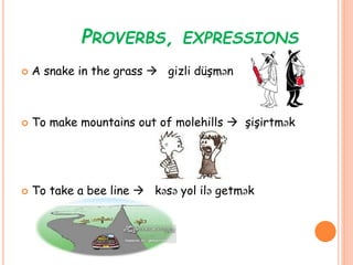 PROVERBS, EXPRESSIONS
 A snake in the grass  gizli düşmən
 To make mountains out of molehills  şişirtmək
 To take a bee line  kəsə yol ilə getmək
 