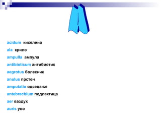 A acidum   киселина ala   крило ampulla   ампула antibioticum   антибиотик aegrotus   болесник anulus   прстен amputatio   одсецање antebrachium   подлактица aer   ваздух auris   уво 