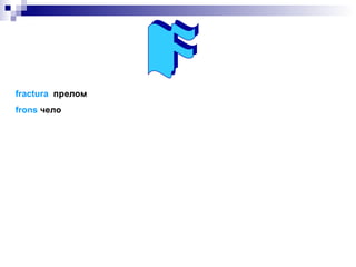 F fractura   прелом frons   чело 