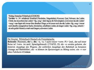 Prof. Dr. Jelena Kostić Tomović
18
 