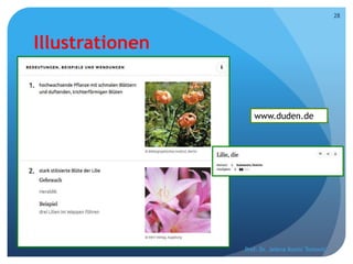 Illustrationen
Prof. Dr. Jelena Kostić Tomović
28
www.duden.de
 