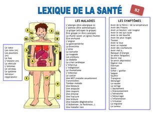 LES MALADIES
L’allergie (être allergique à)
L’asthme (être asthmatique)
La grippe (attraper la grippe)
Etre grippé (≠ être constipé)
Le rhume (avoir un (gros) rhume)
Etre enrhumé
L’angine
La gastroentérite
La bronchite
L’otite
La varicelle
La rougeole
Les oreillons
Le diabète
La crise cardiaque
L’infarctus
L’indigestion
Le rhumatisme
L’infection
Le cancer
Une MST (maladie sexuellement
transmissible)
Tomber malade
Une blessure
Une ampoule
Une coupure
Une entorse
Une fracture
Une brûlure
Una maladie dégénérative
(l’Alzheimer, le Parkinson…)
Una maladie rare
LES SYMPTÔMES
Avoir de la fièvre / de la température
Avoir des frissons
Avoir un bouton/ une rougeur
Avoir le nez qui coule
Avoir le nez bouché
Avoir les yeux rouges
Tousser
Avoir la toux
Avoir un malaise
Avoir des courbatures
Avoir mal à…
Manquer d’énergie
Se sentir fatigué(e)
Dormir mal
Se sentir déprimé(e)
Digérer mal
Eternuer
Vomir
Enfler / gonfler
Saigner
Souffrir
Transpirer
Démanger
La nausée
Le vertige
L’épuisement
L’évanouissement
L’hématome
L’hémorragie
L’inflammation
L’irritation
La migraine
La tumeur
Le cœur
Les reins (m)
Les poumons
(m)
Le foie
L’intestin (m)
La vésicule
L’estomac
Le cerveau
Le système
nerveux/
respiratoire
 
